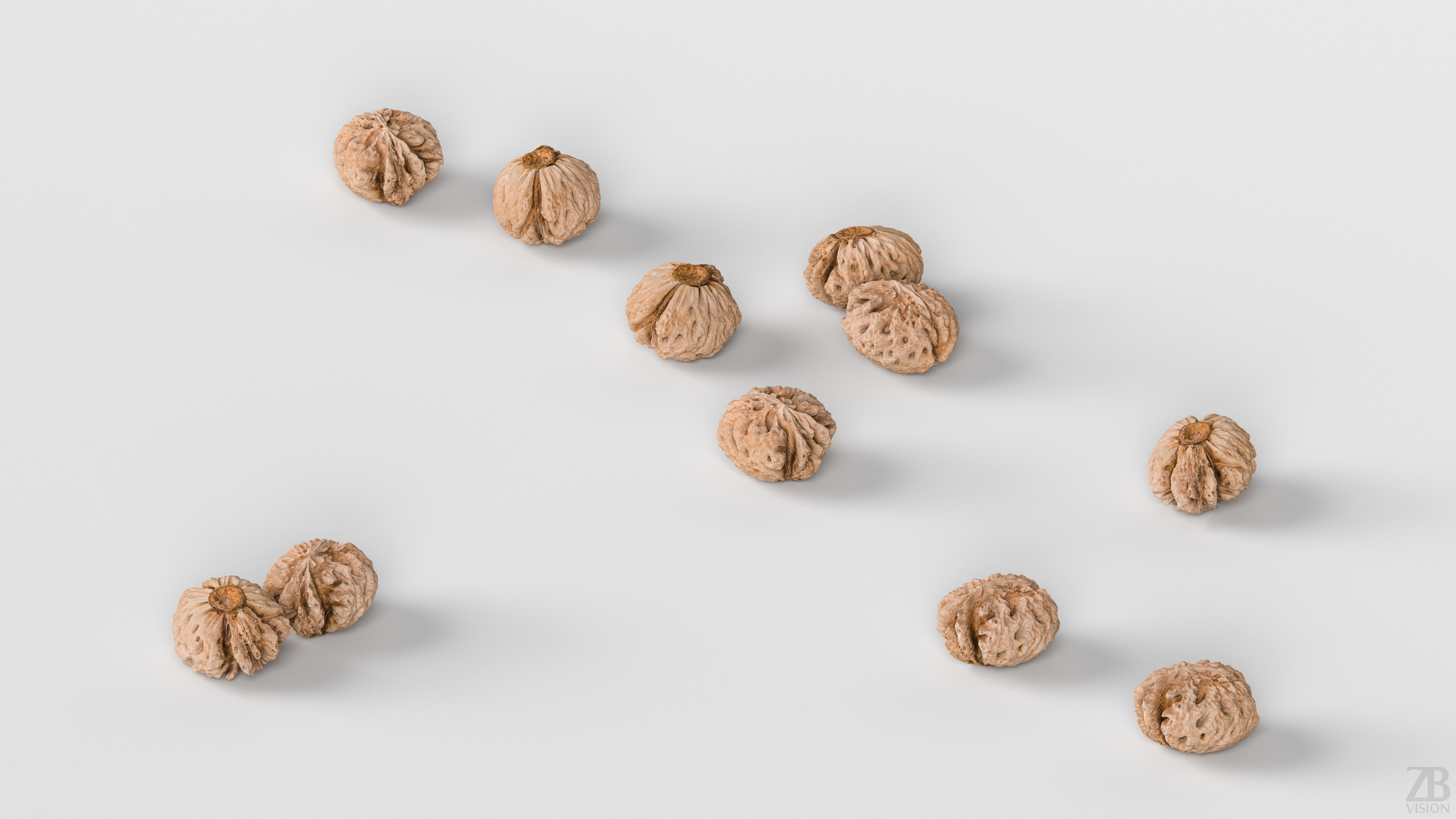 Peach Pit 3D model_2