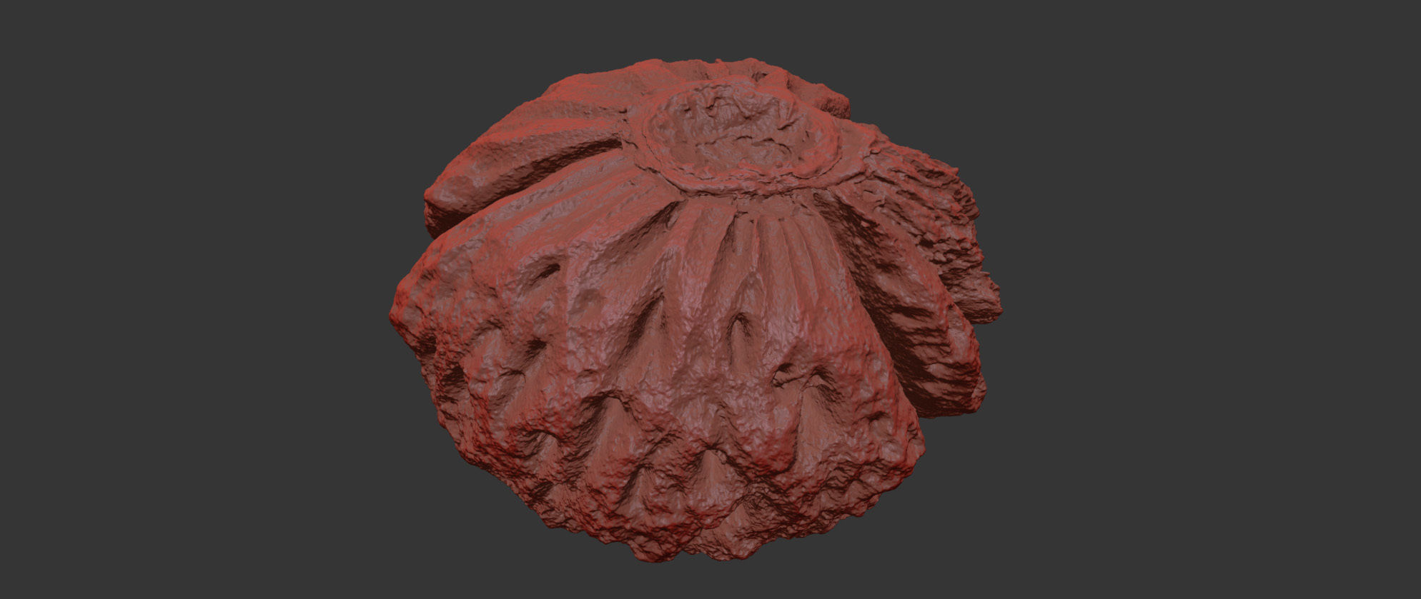 Peach Pit 3D model_7