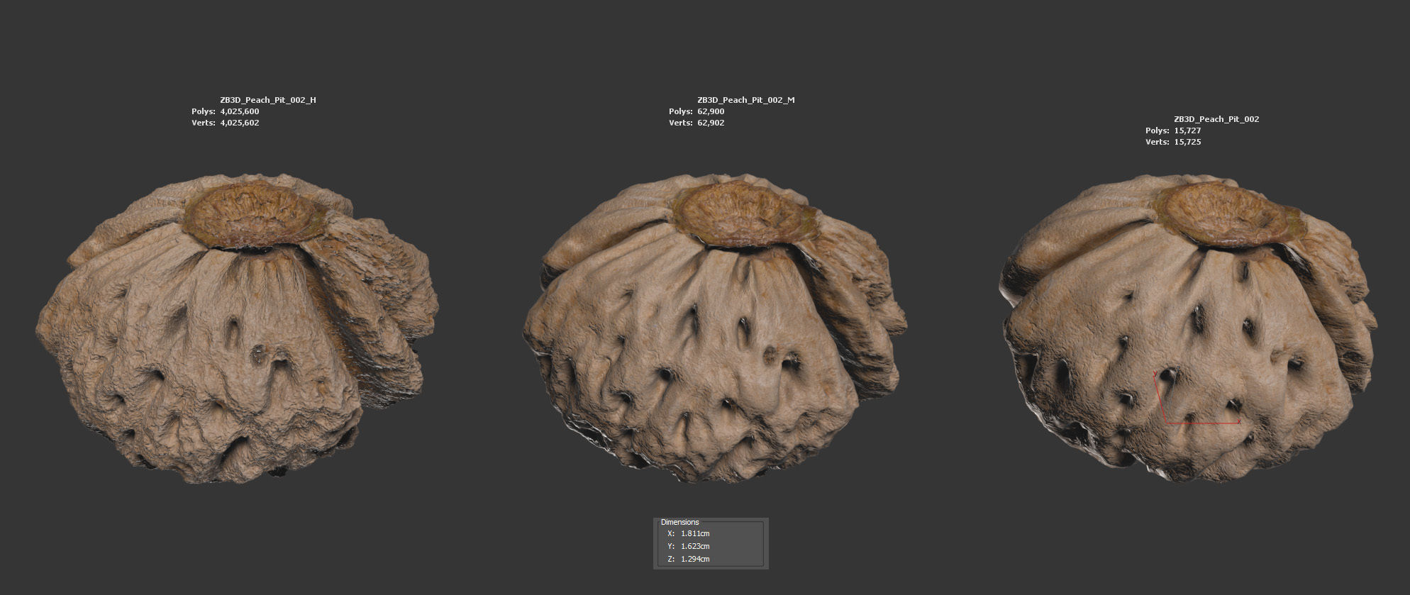 Peach Pit 3D model_5