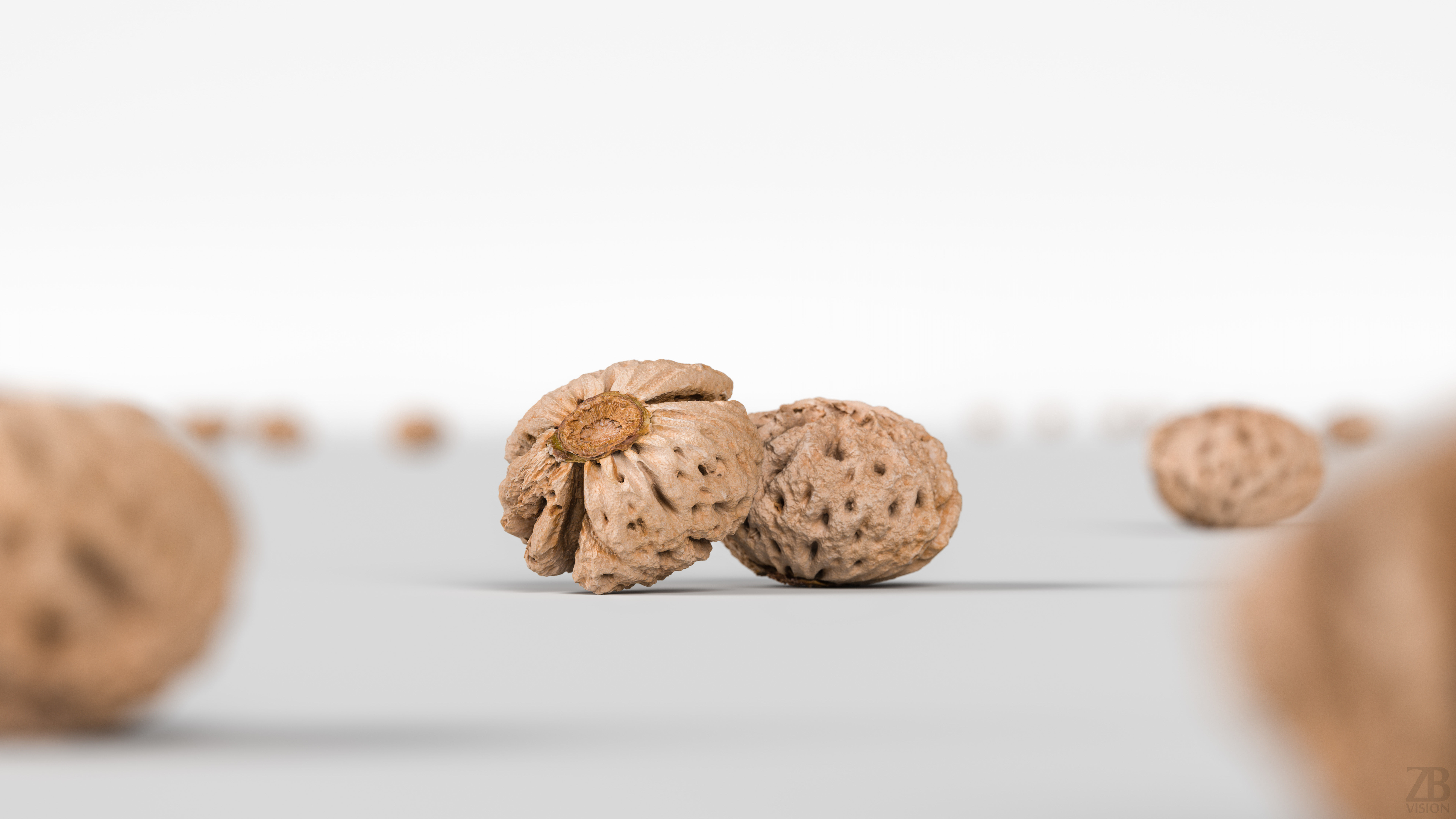 Peach Pit 3D model_1