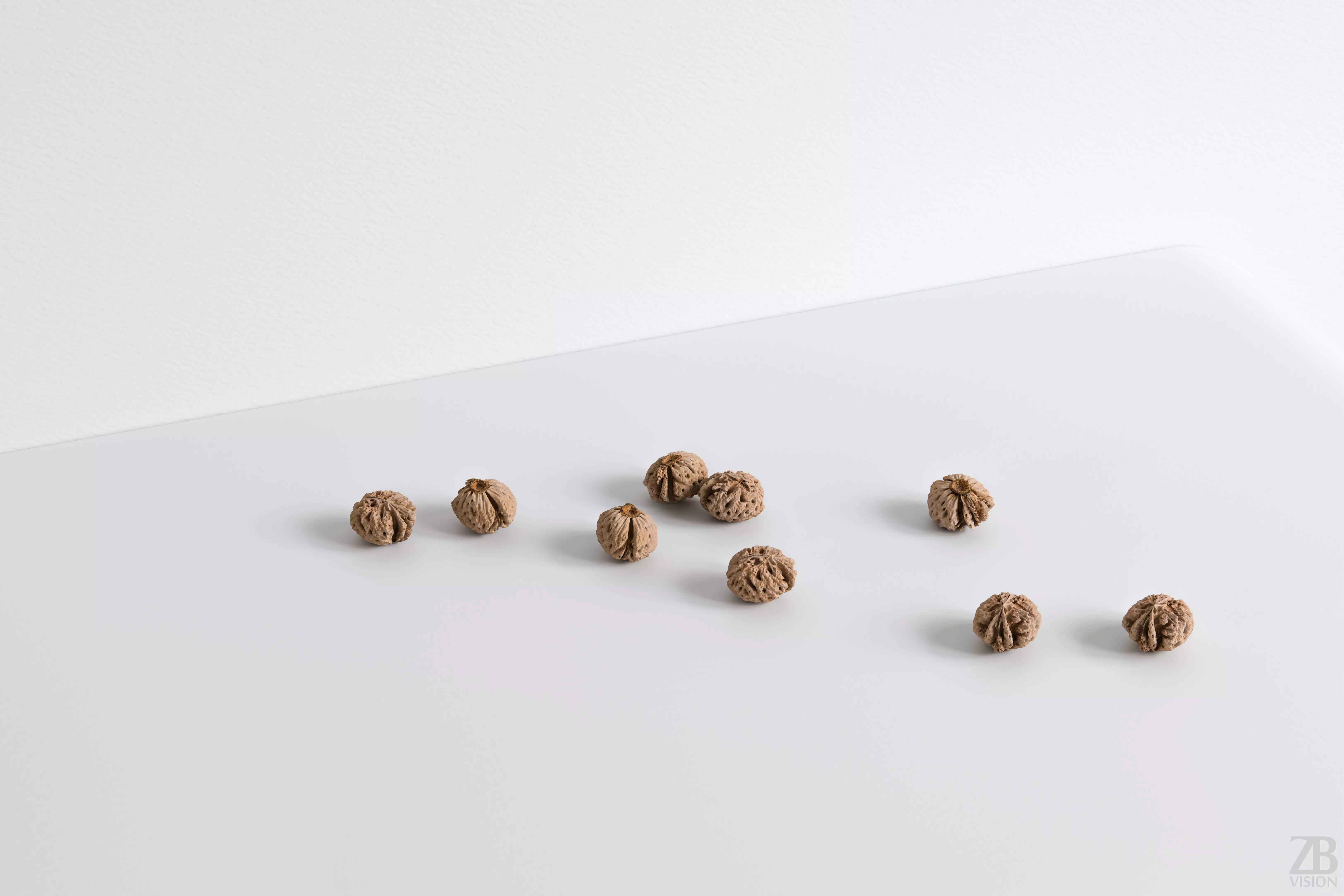 Peach Pit 3D model_0