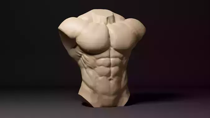 Male Torso - 3D print model 3D print model