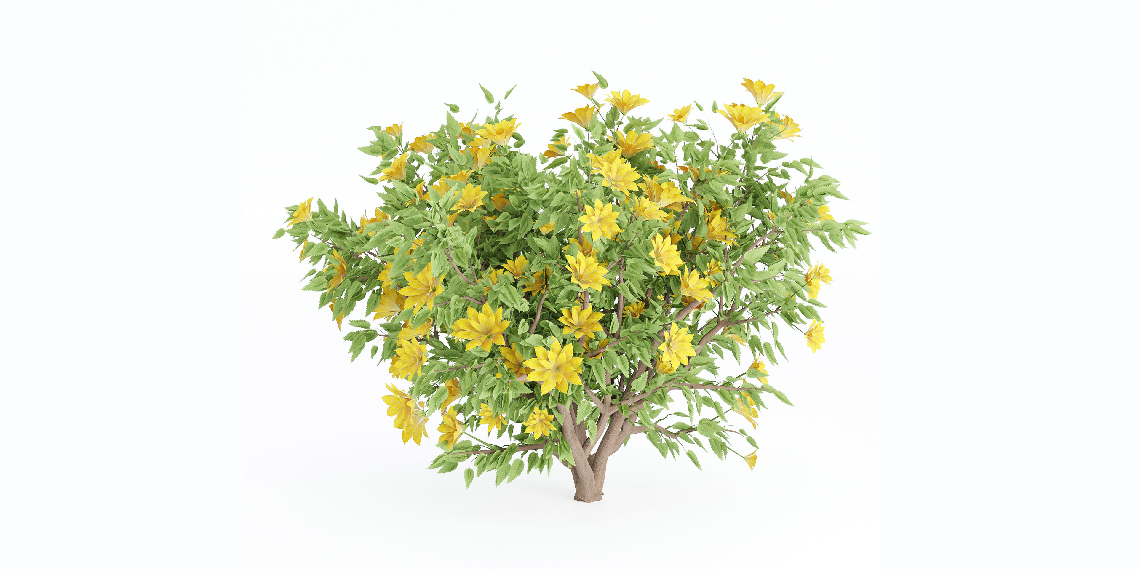 collection flowering bush vol 8-Blender 3D model_2