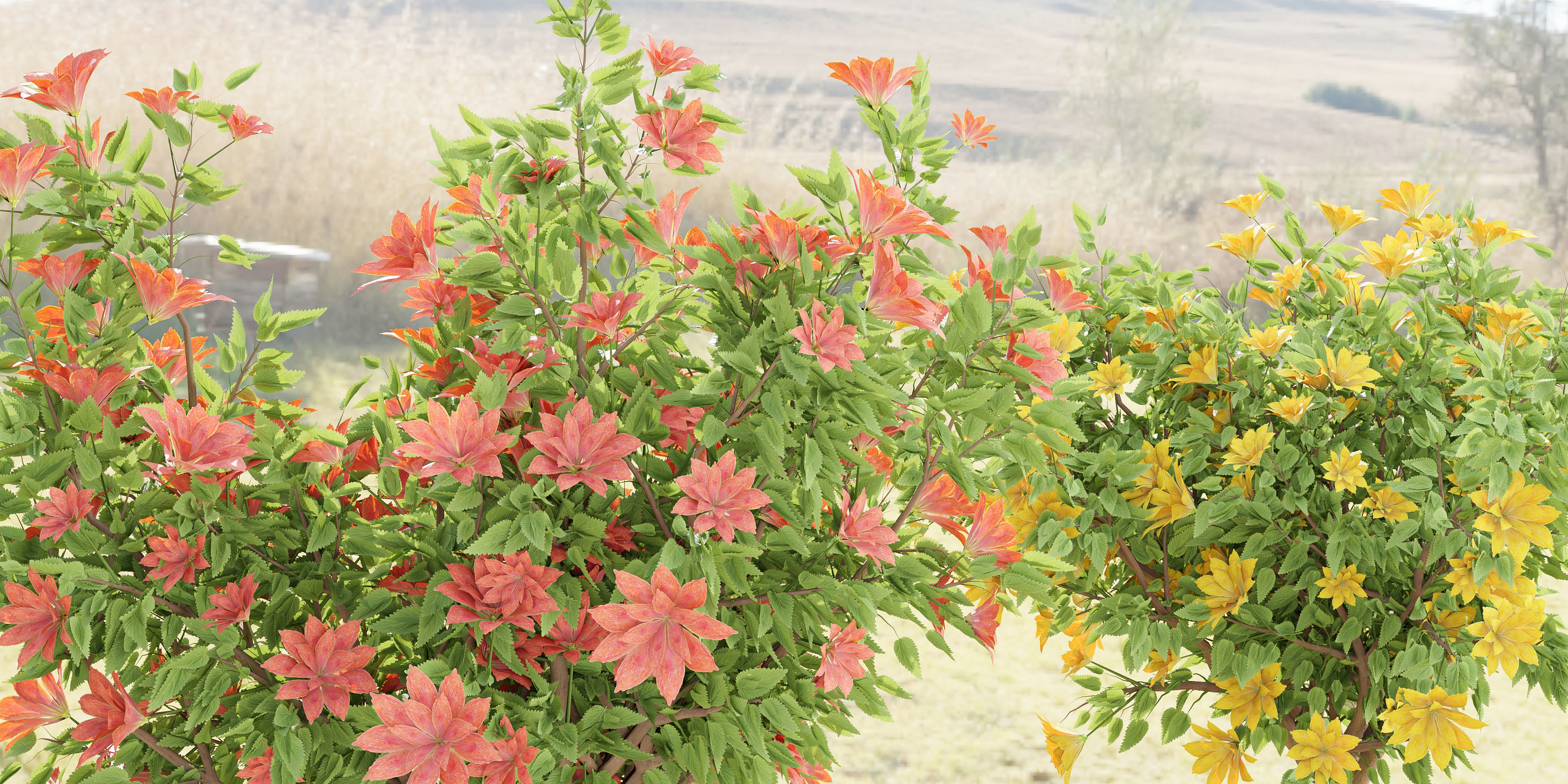 collection flowering bush vol 8-Blender 3D model_5