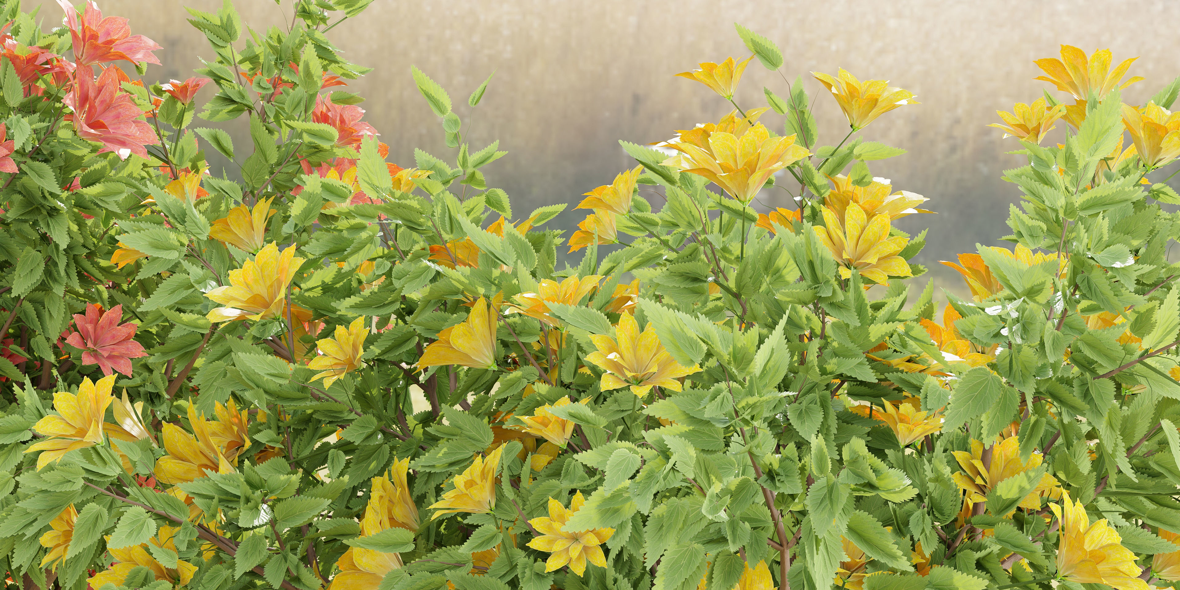 collection flowering bush vol 8-Blender 3D model_3