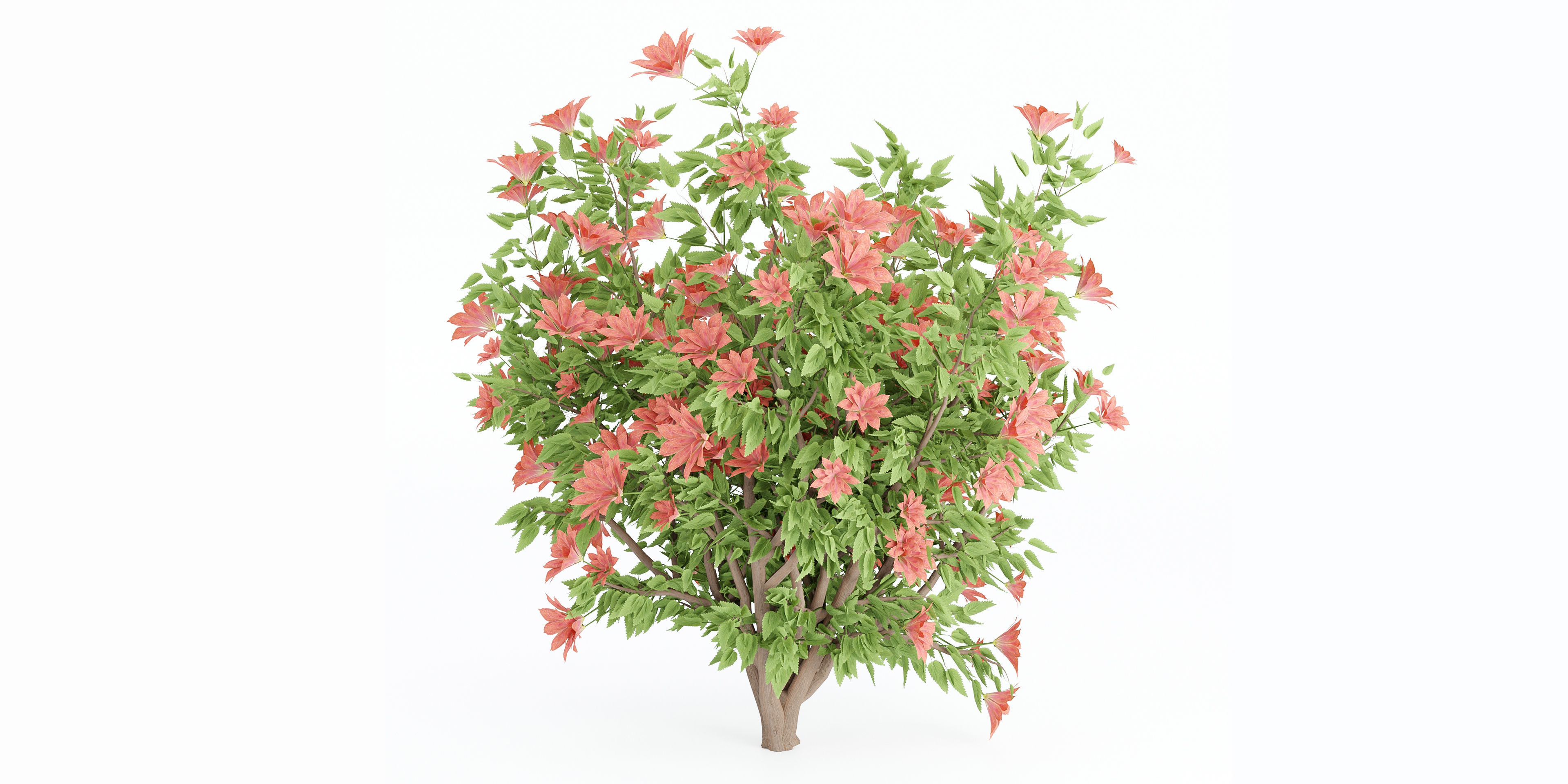 collection flowering bush vol 8-Blender 3D model_4