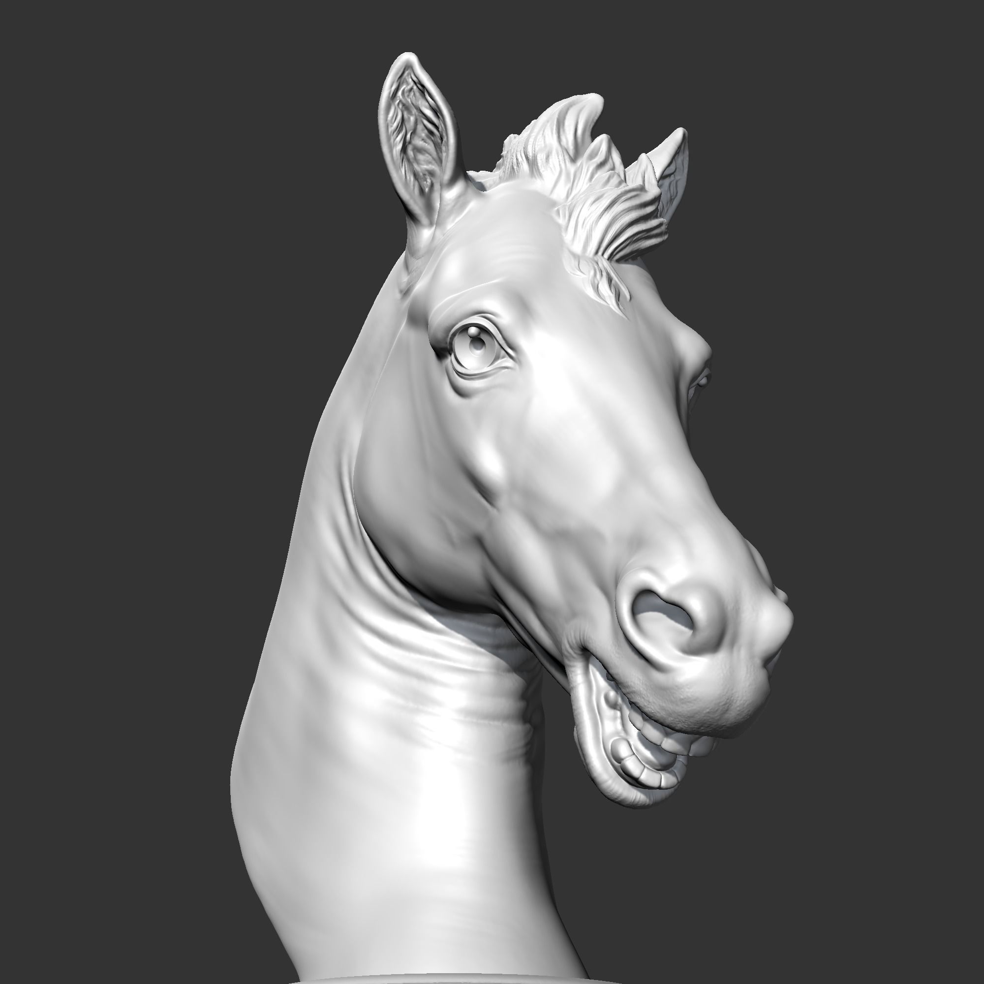 Horse Head AM22 3D print model 3D print model_4