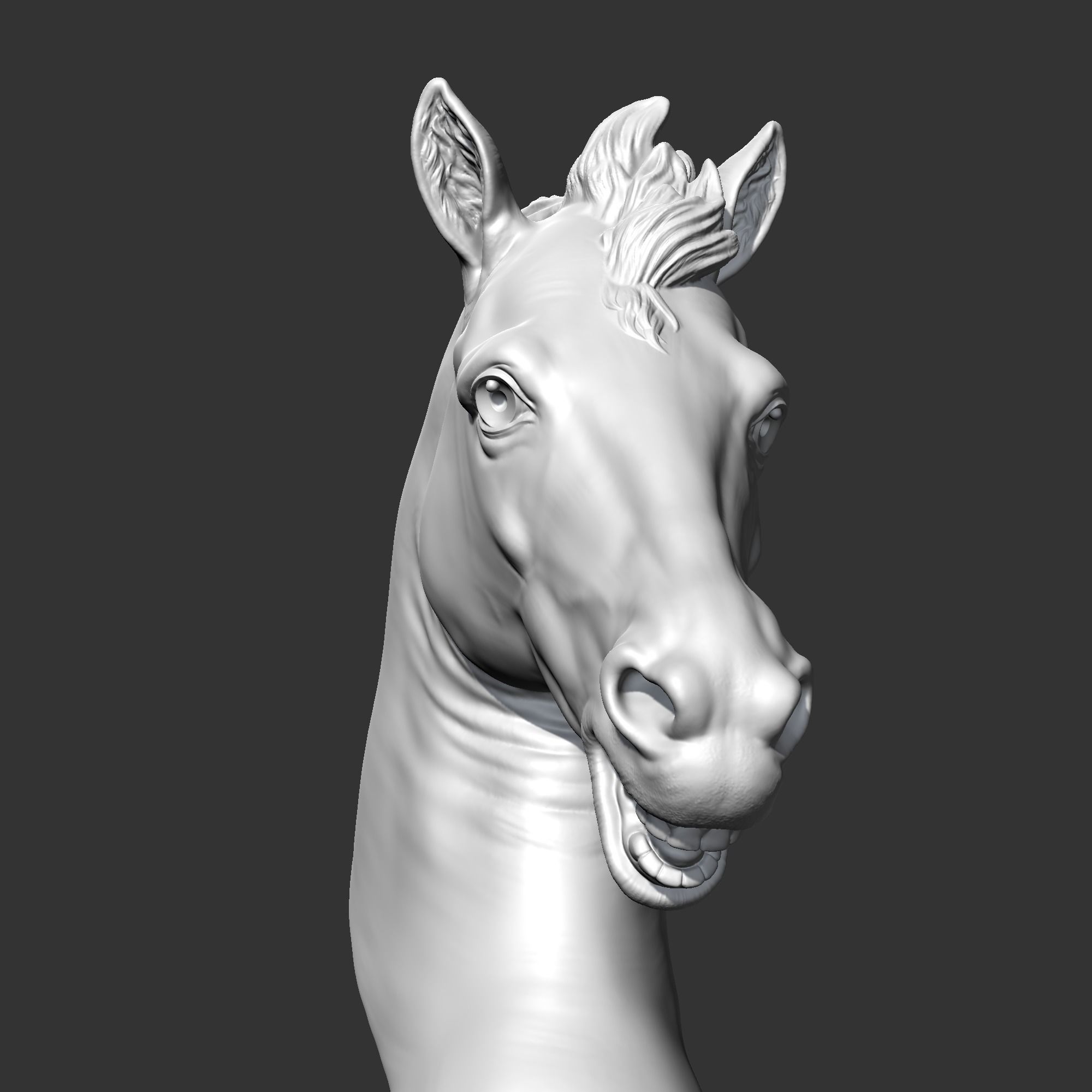 Horse Head AM22 3D print model 3D print model_3