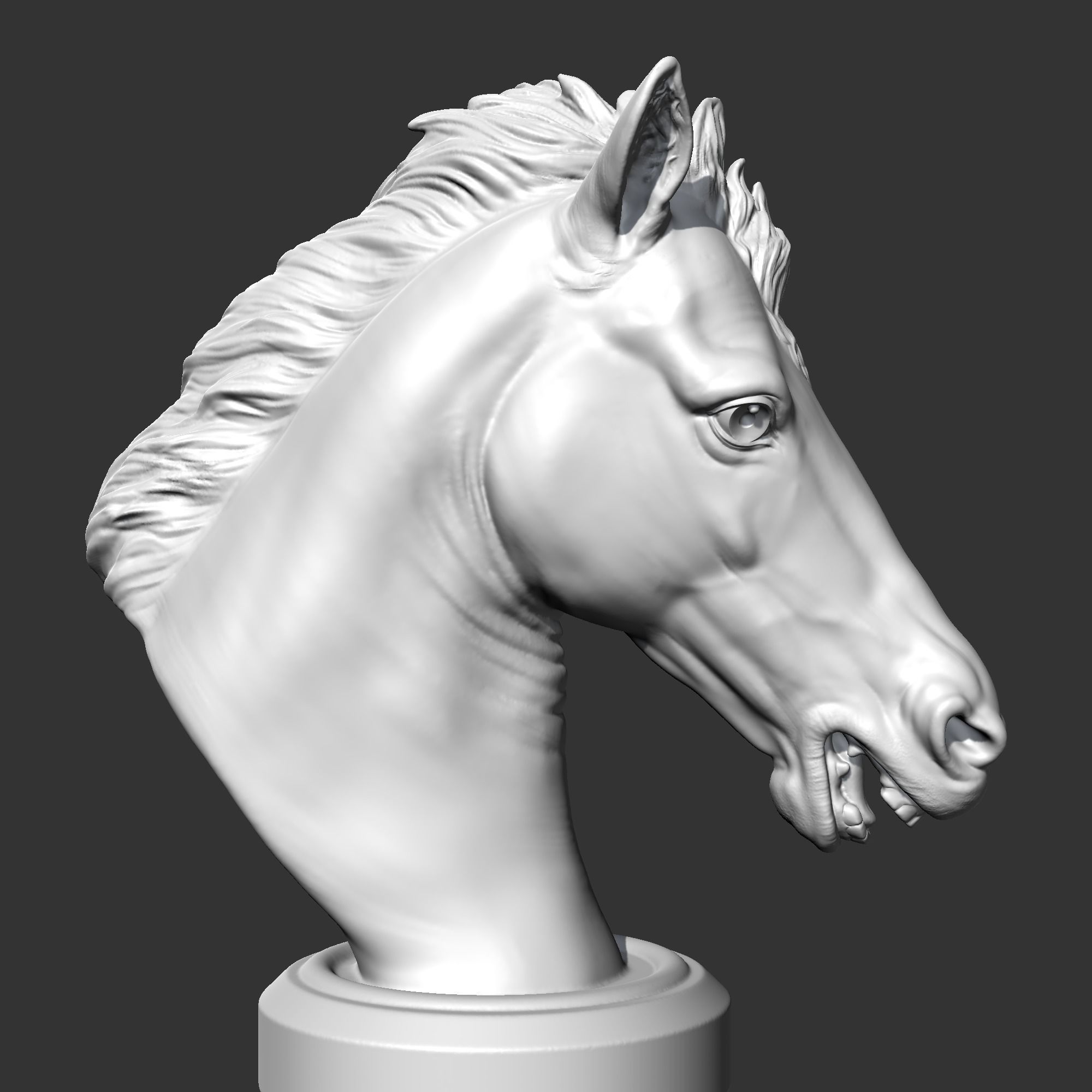 Horse Head AM22 3D print model 3D print model_9
