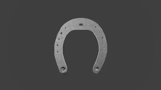 The Metal Horse Shoe
