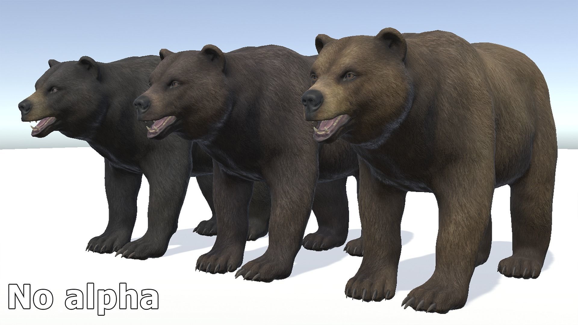 BEAR - FAMILY 3D Model Collection_15