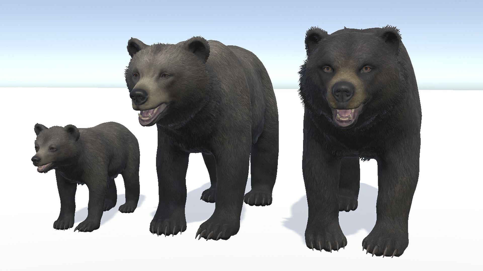 BEAR - FAMILY 3D Model Collection_6
