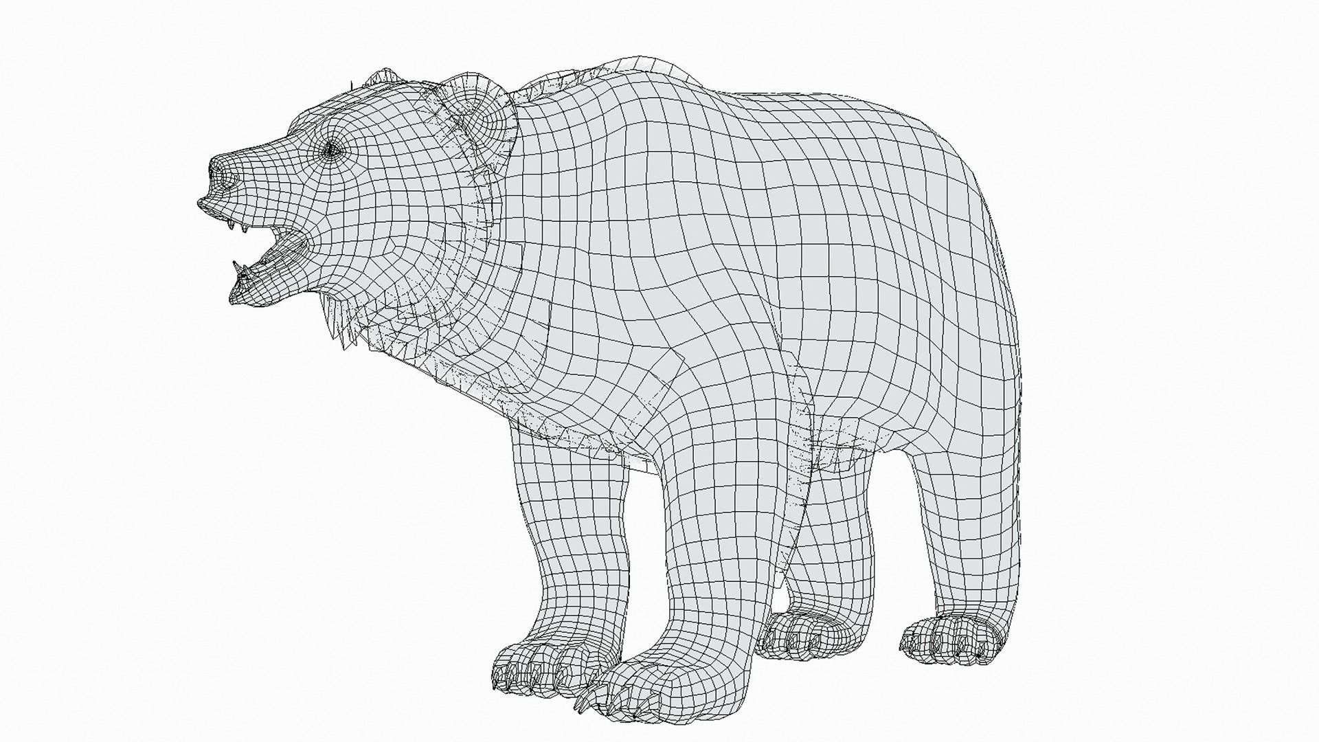 BEAR - FAMILY 3D Model Collection_17