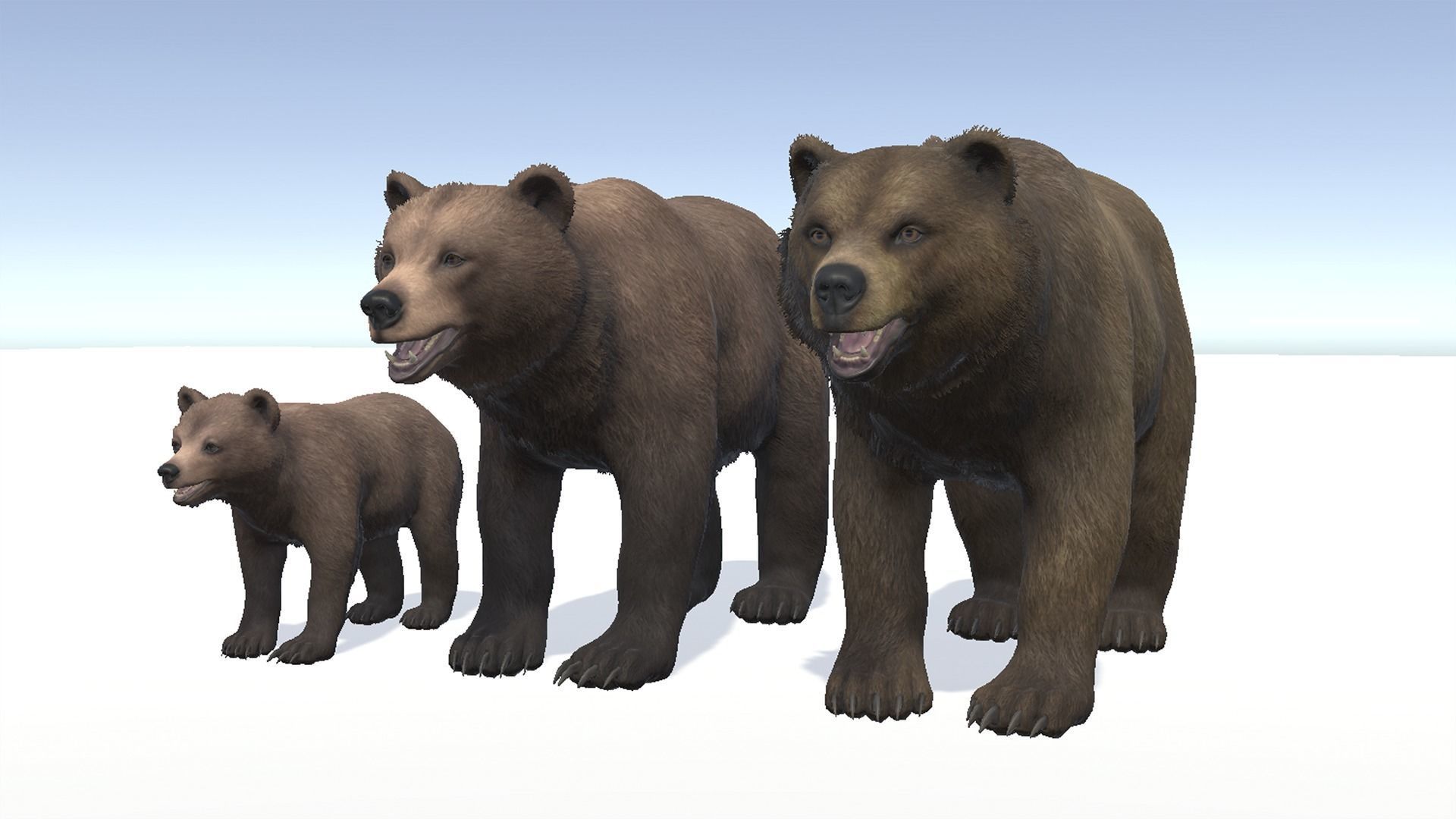BEAR - FAMILY 3D Model Collection_4