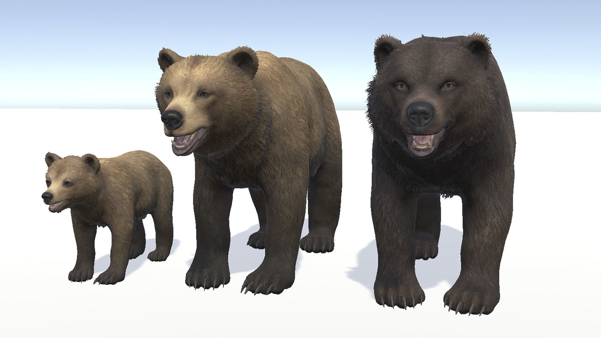 BEAR - FAMILY 3D Model Collection_5