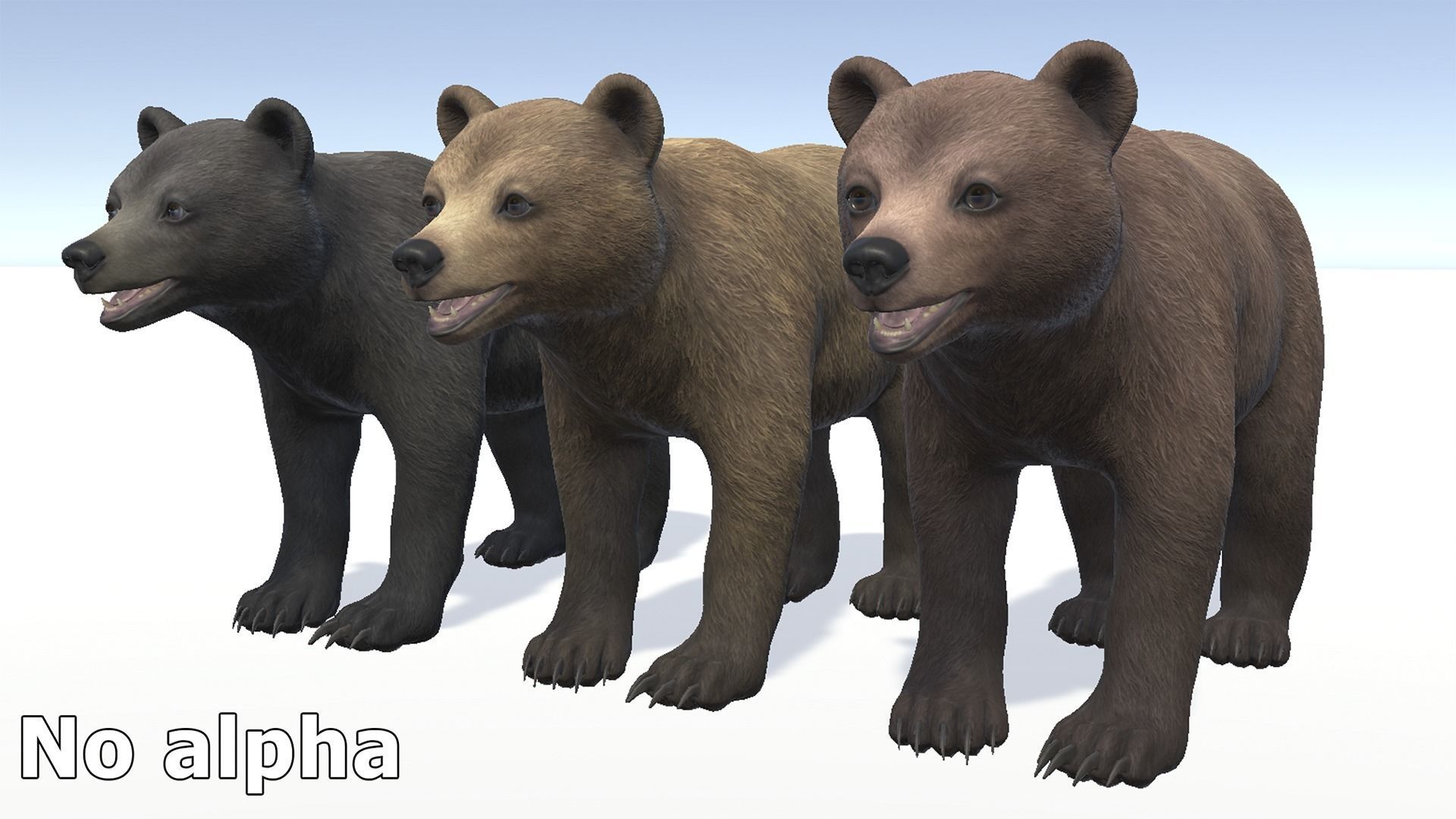 BEAR - FAMILY 3D Model Collection_28