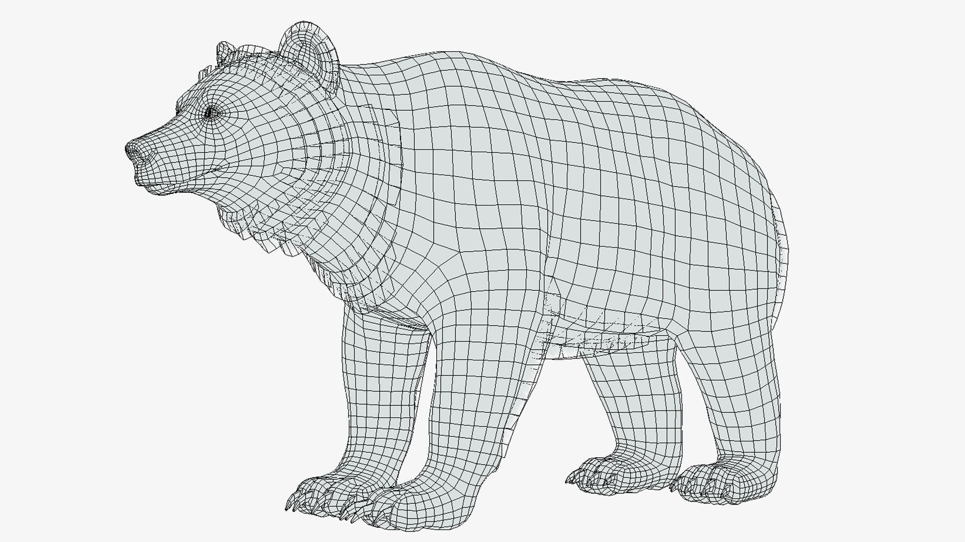 BEAR - FAMILY 3D Model Collection_23