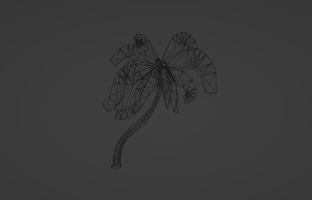 3D Palm Tree  3D model_3