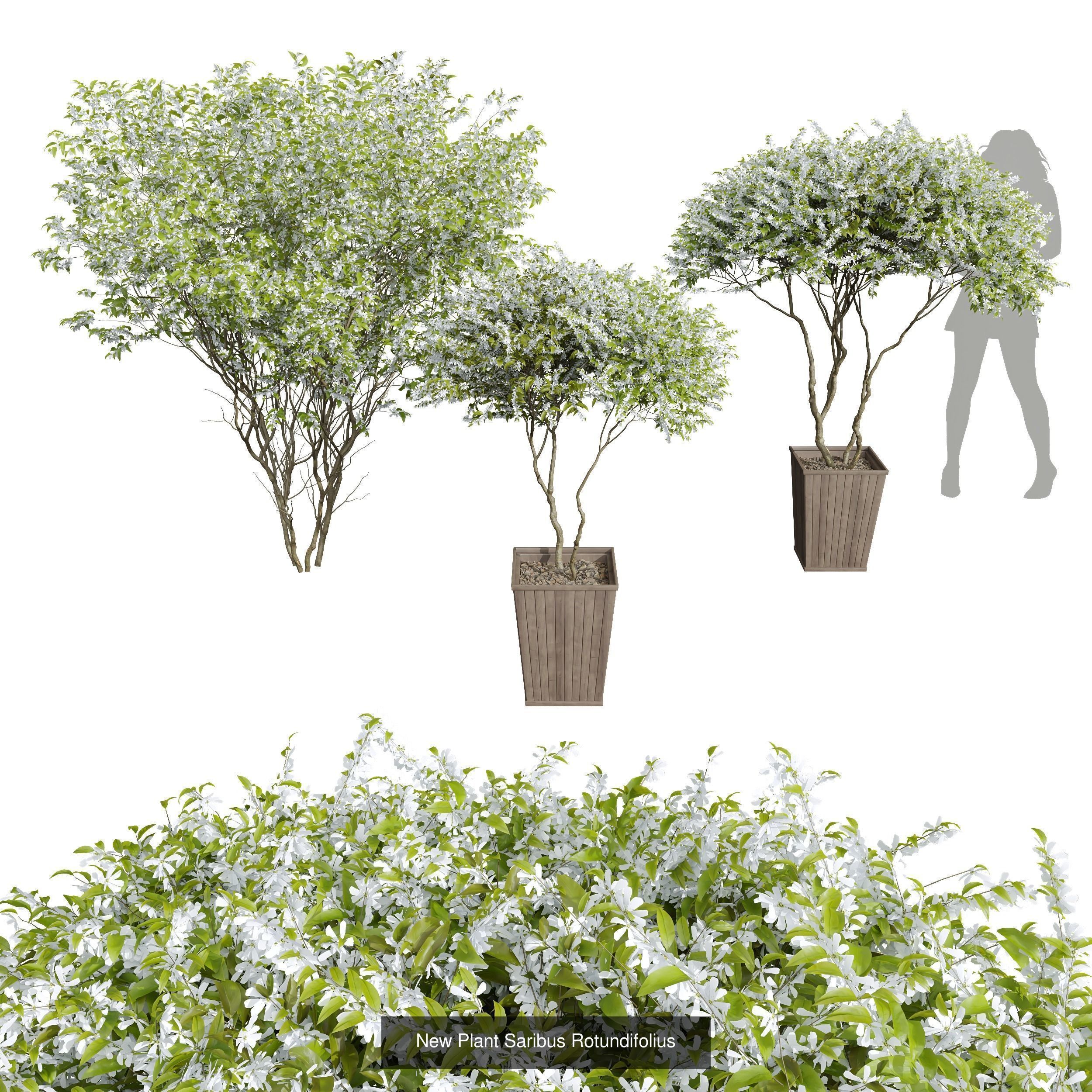 29 Different SETS Of Pot plants Flowers SET VOL06 3D Model Collection_59