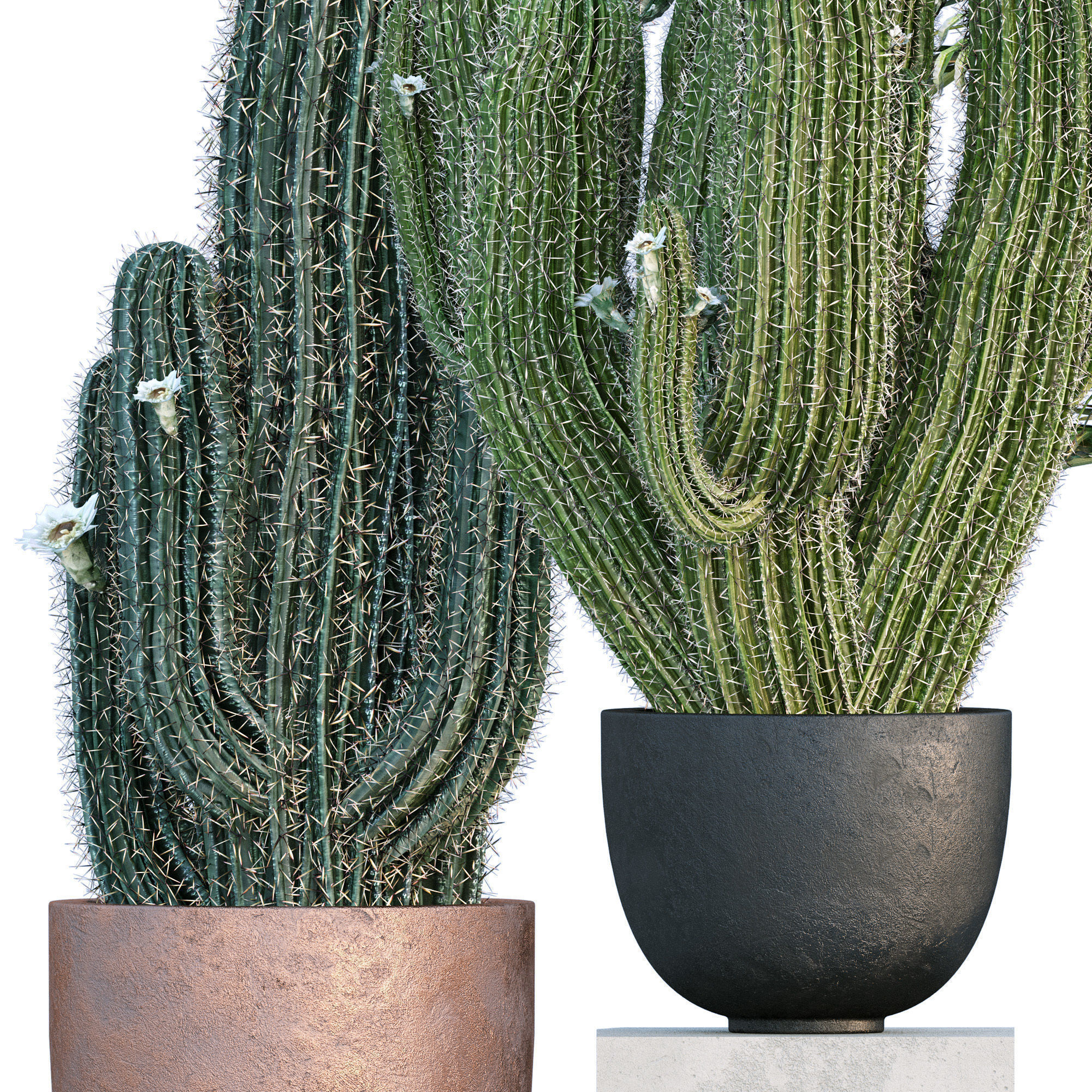 29 Different SETS Of Pot plants Flowers SET VOL06 3D Model Collection_77