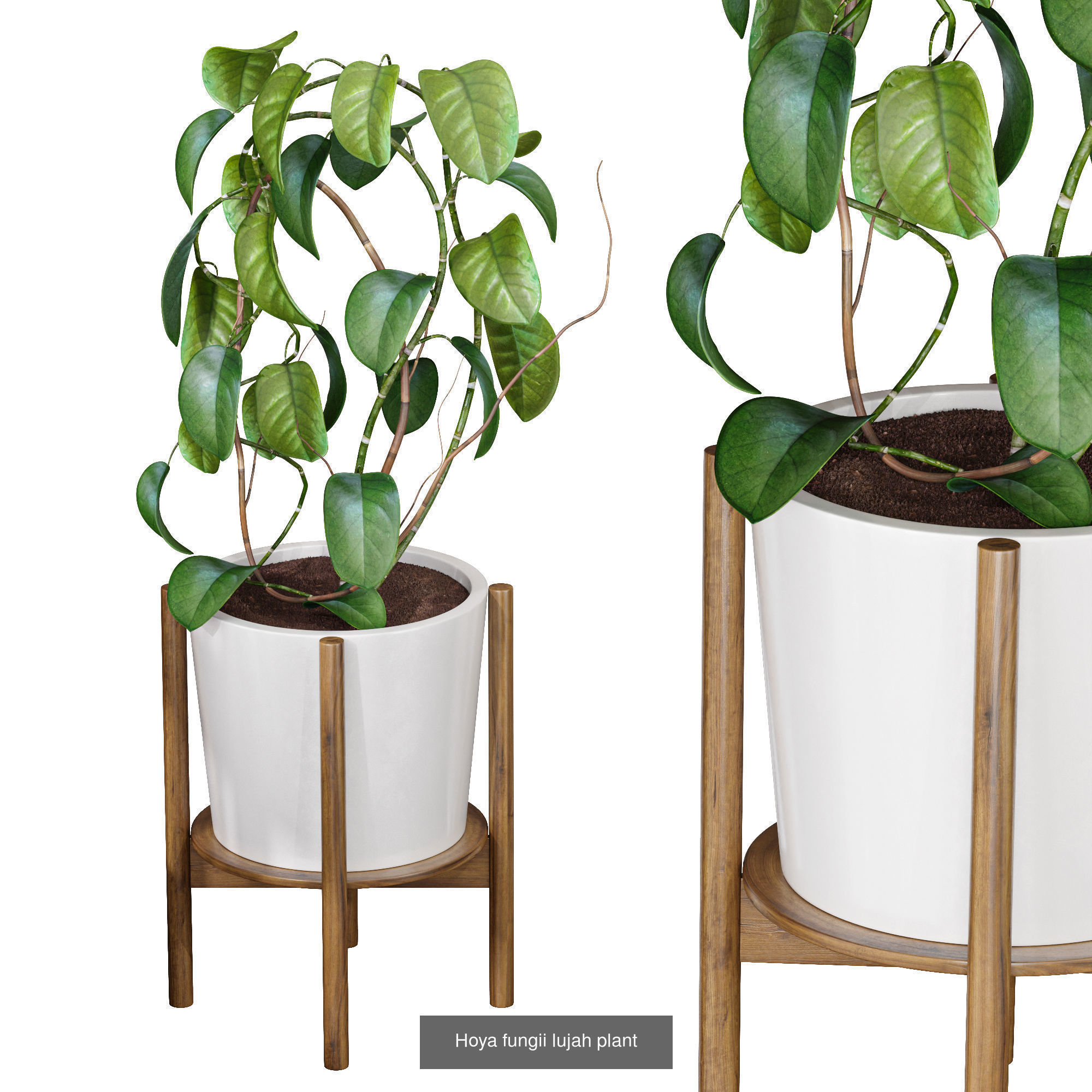 29 Different SETS Of Pot plants Flowers SET VOL06 3D Model Collection_19