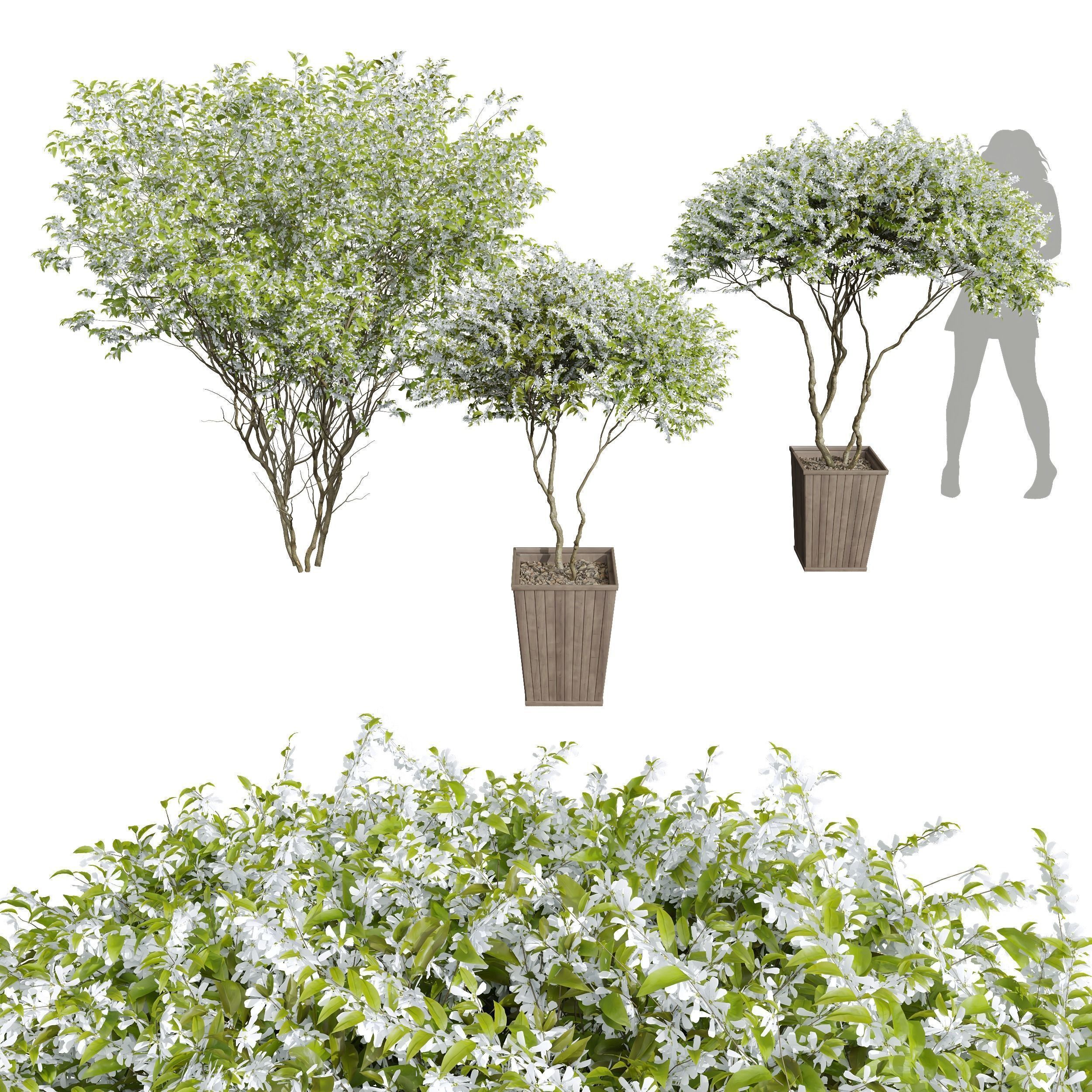 29 Different SETS Of Pot plants Flowers SET VOL06 3D Model Collection_50