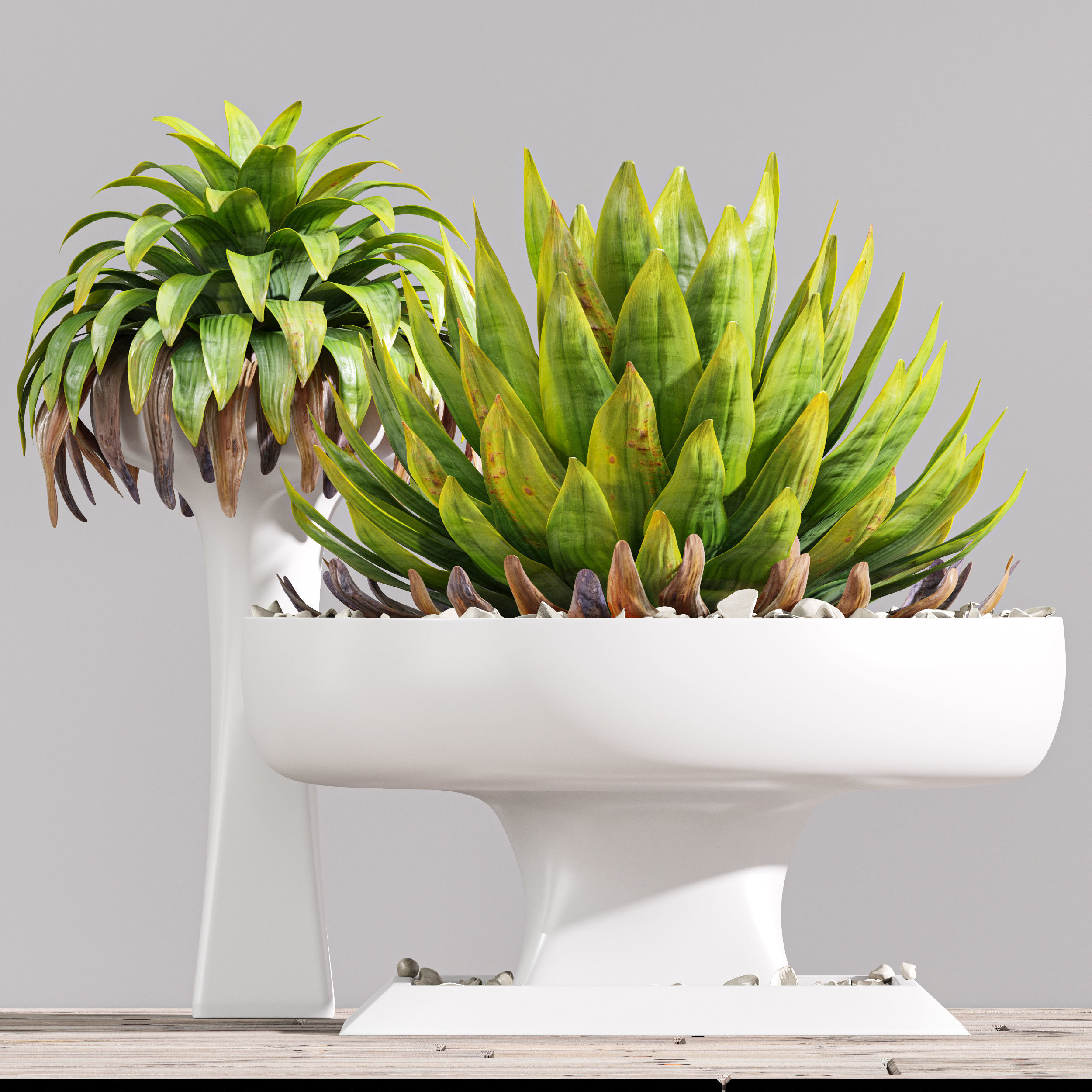 29 Different SETS Of Pot plants Flowers SET VOL06 3D Model Collection_76