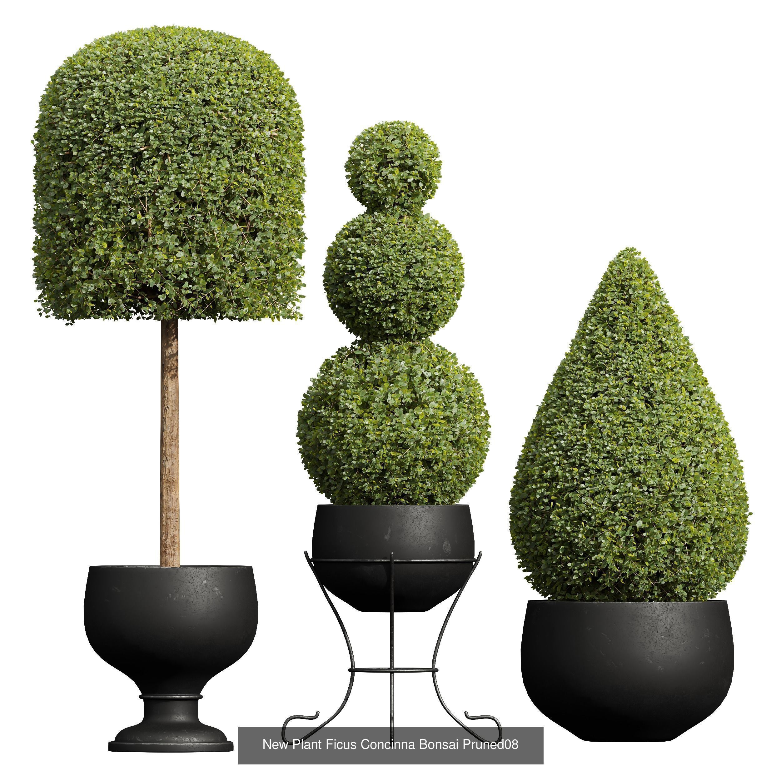 29 Different SETS Of Pot plants Flowers SET VOL06 3D Model Collection_49