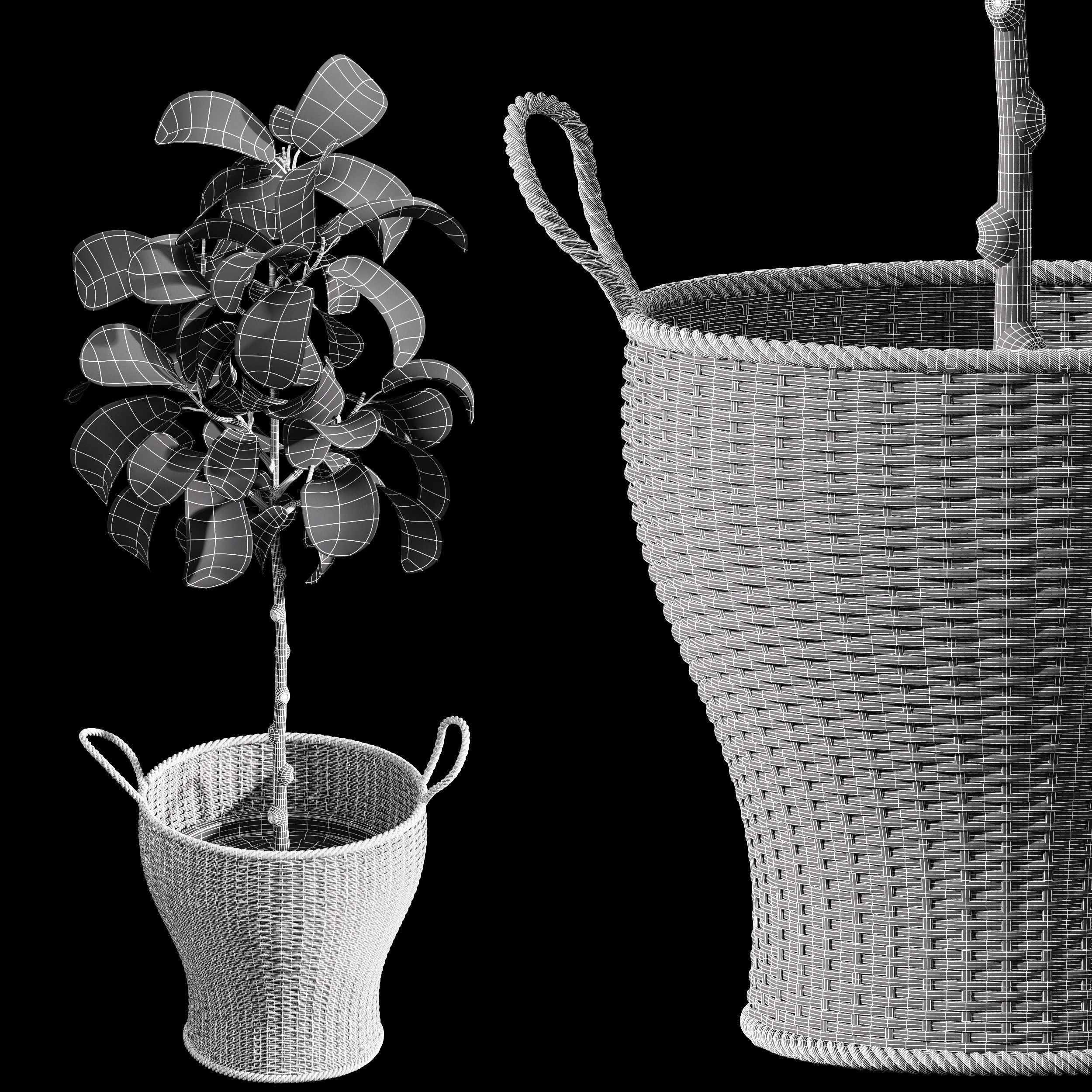 29 Different SETS Of Pot plants Flowers SET VOL06 3D Model Collection_95