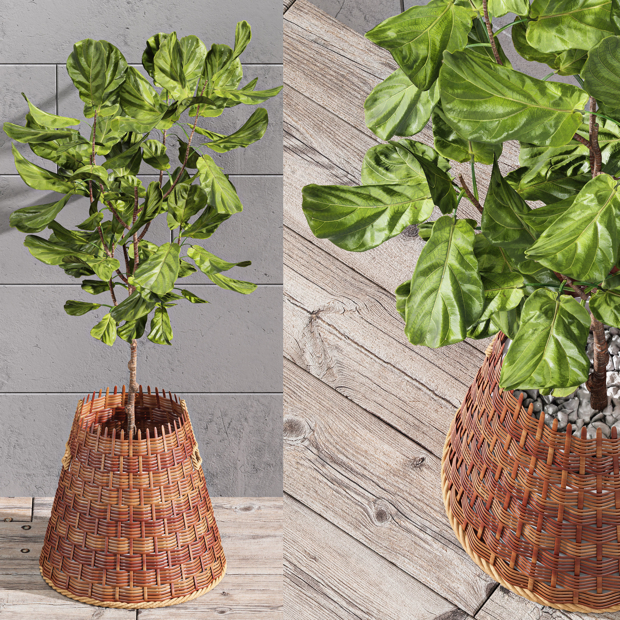 29 Different SETS Of Pot plants Flowers SET VOL06 3D Model Collection_28