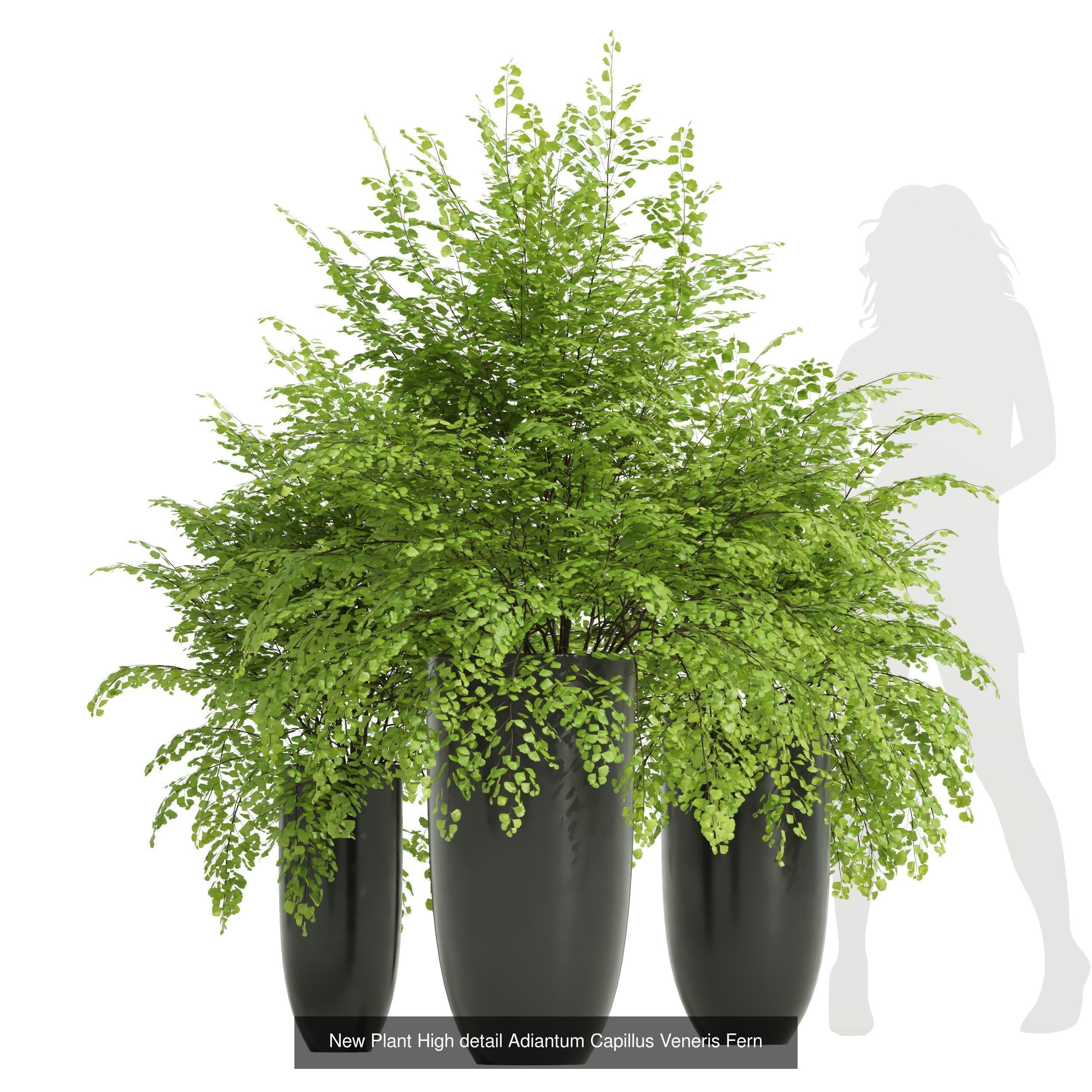 29 Different SETS Of Pot plants Flowers SET VOL06 3D Model Collection_45