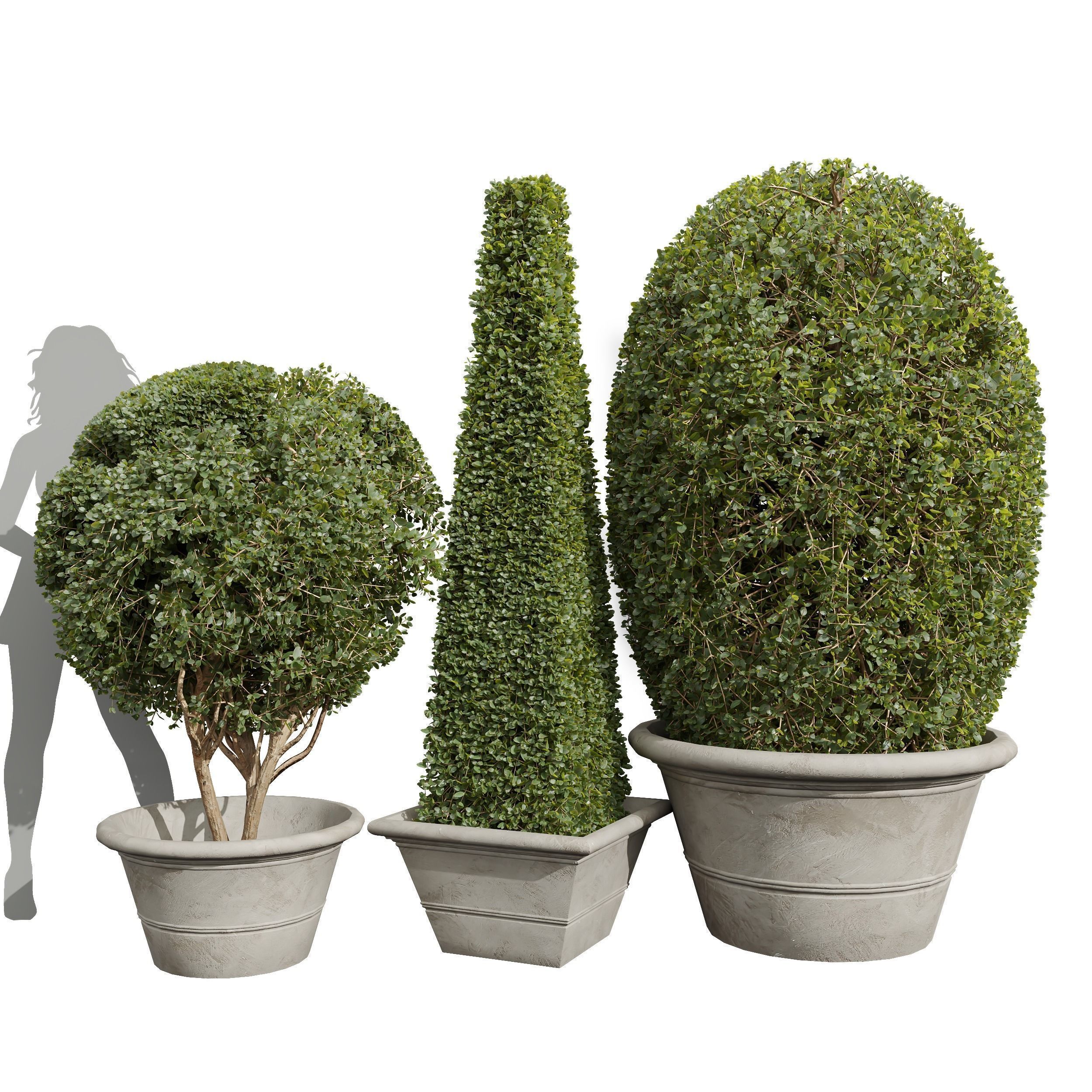 29 Different SETS Of Pot plants Flowers SET VOL06 3D Model Collection_40