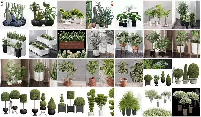 29 Different SETS Of Pot plants  Flowers SET VOL06 3D Model Collection