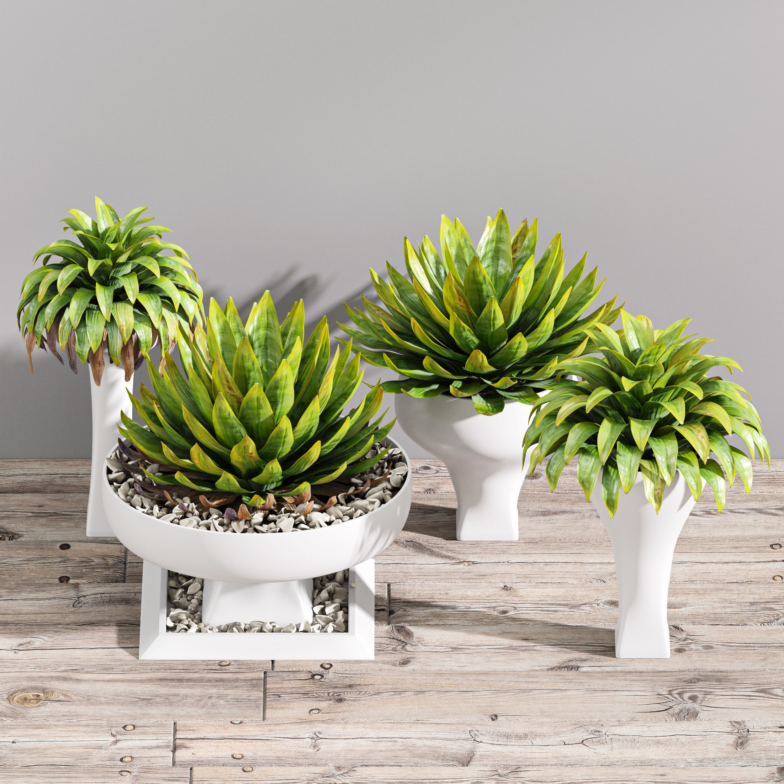 29 Different SETS Of Pot plants Flowers SET VOL06 3D Model Collection_13