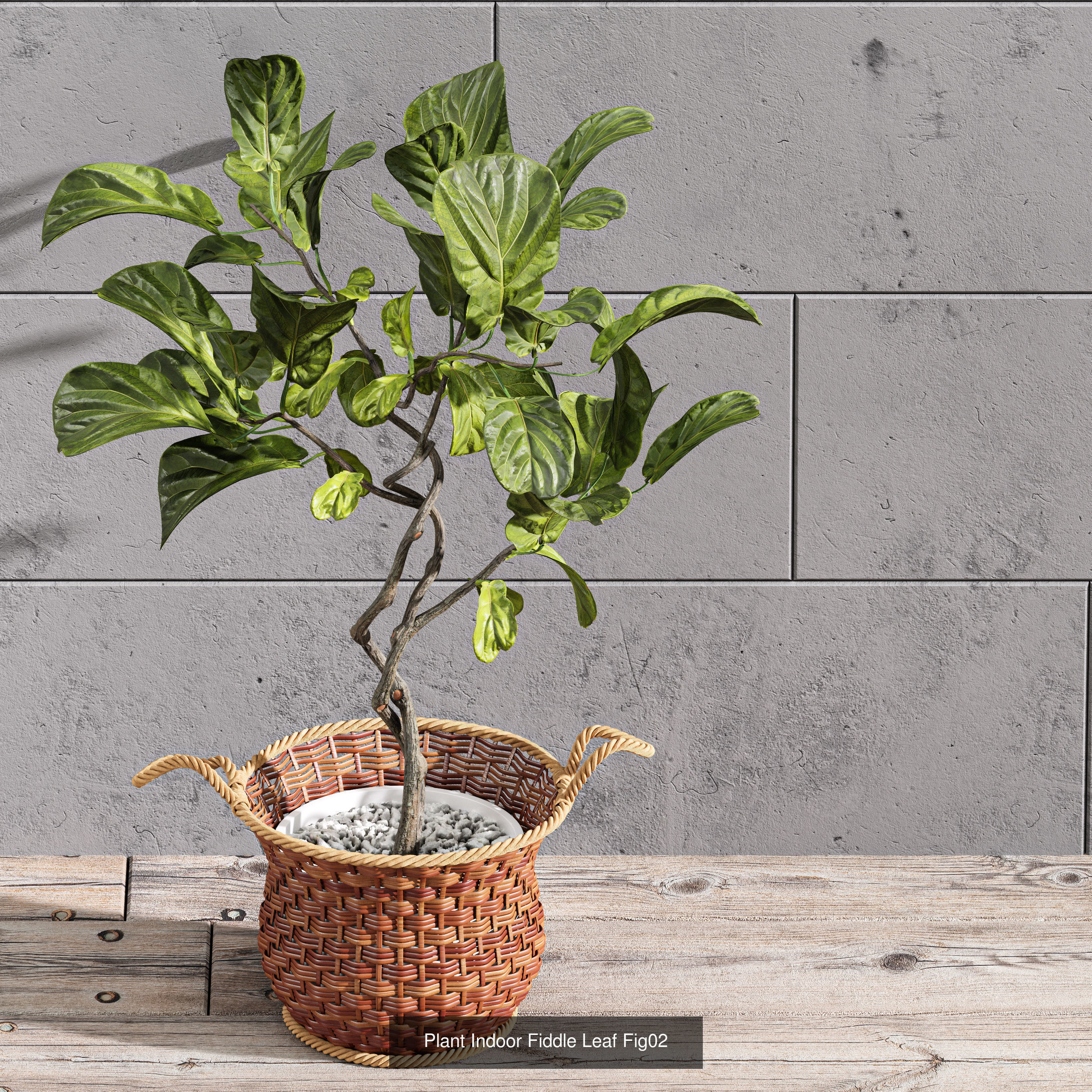 29 Different SETS Of Pot plants Flowers SET VOL06 3D Model Collection_17