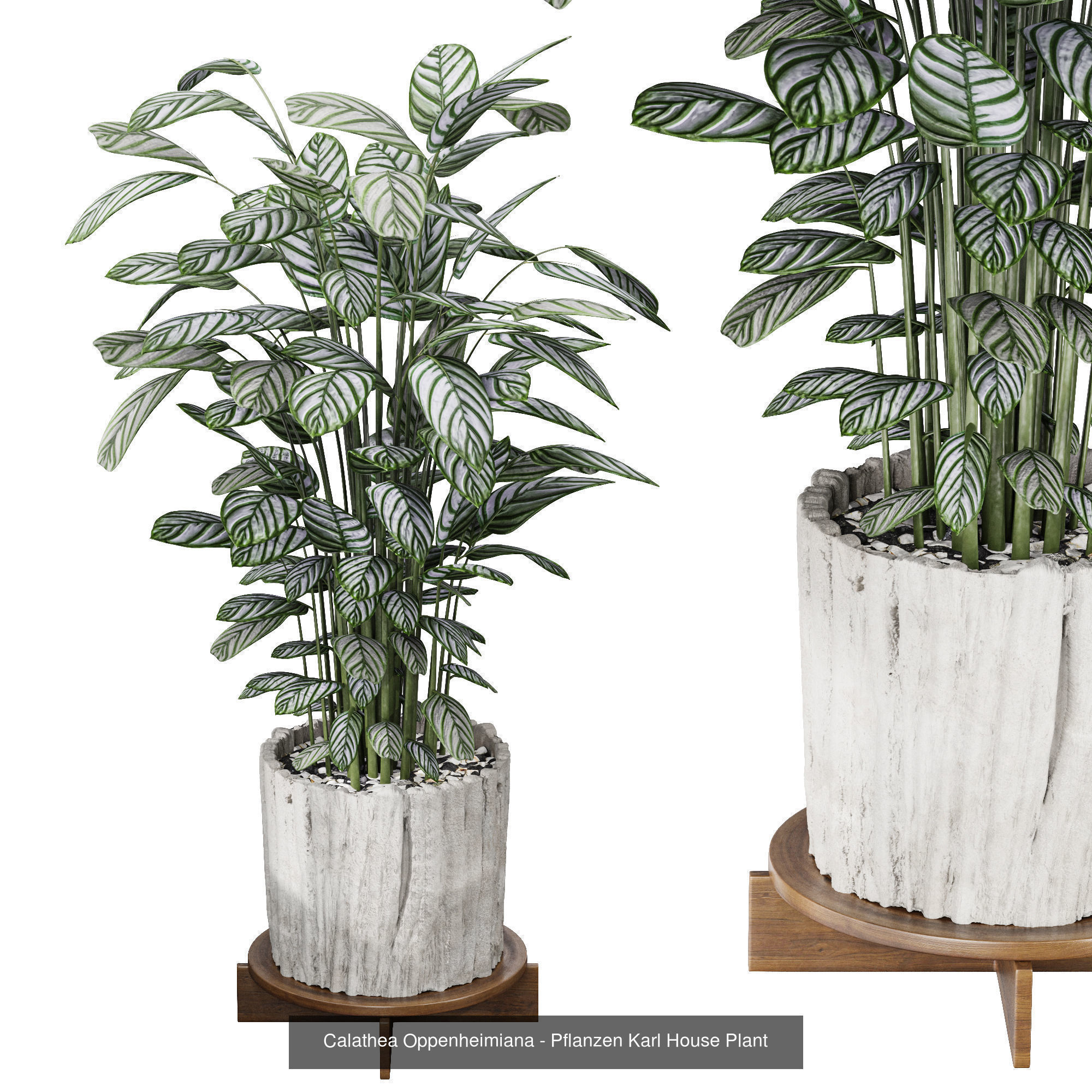 29 Different SETS Of Pot plants Flowers SET VOL06 3D Model Collection_33
