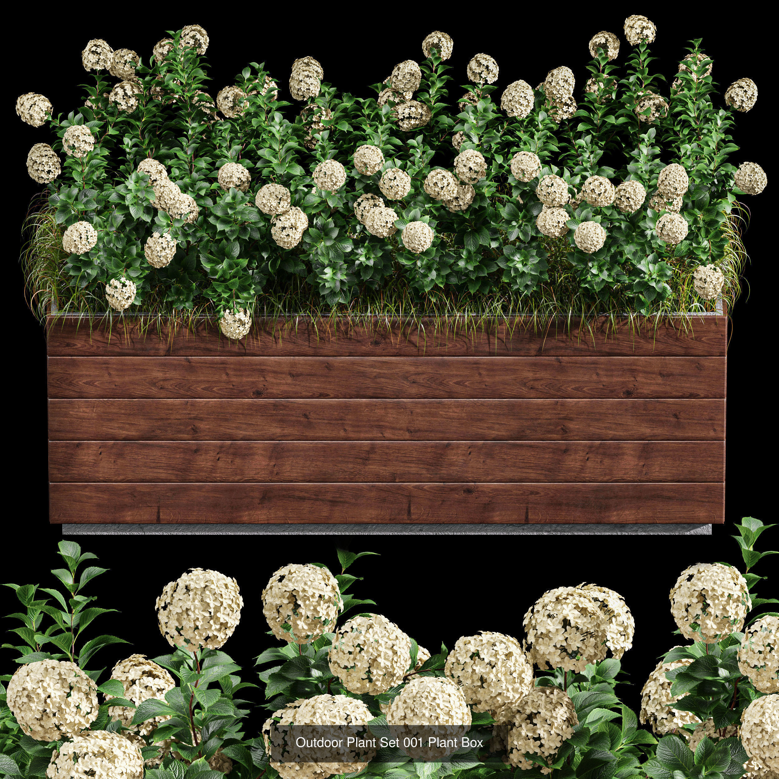 29 Different SETS Of Pot plants Flowers SET VOL06 3D Model Collection_23