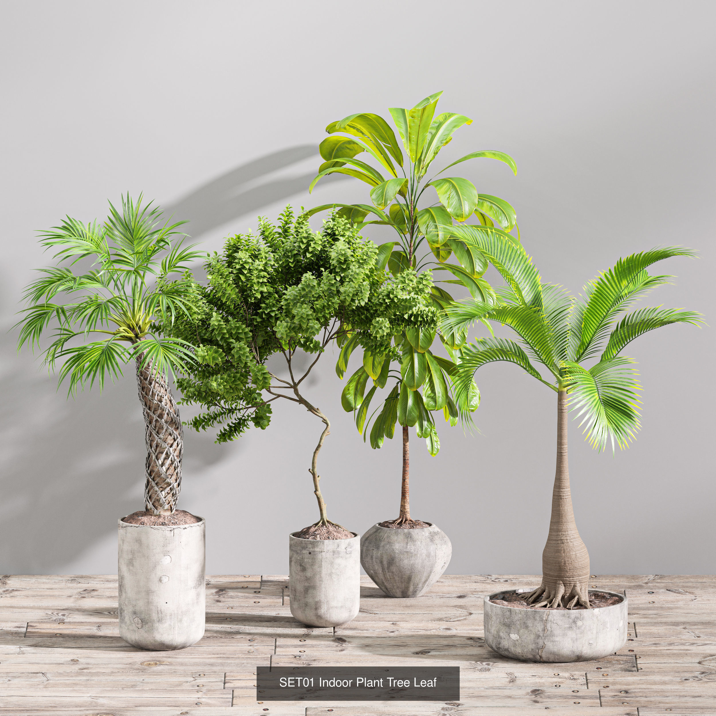 29 Different SETS Of Pot plants Flowers SET VOL06 3D Model Collection_12