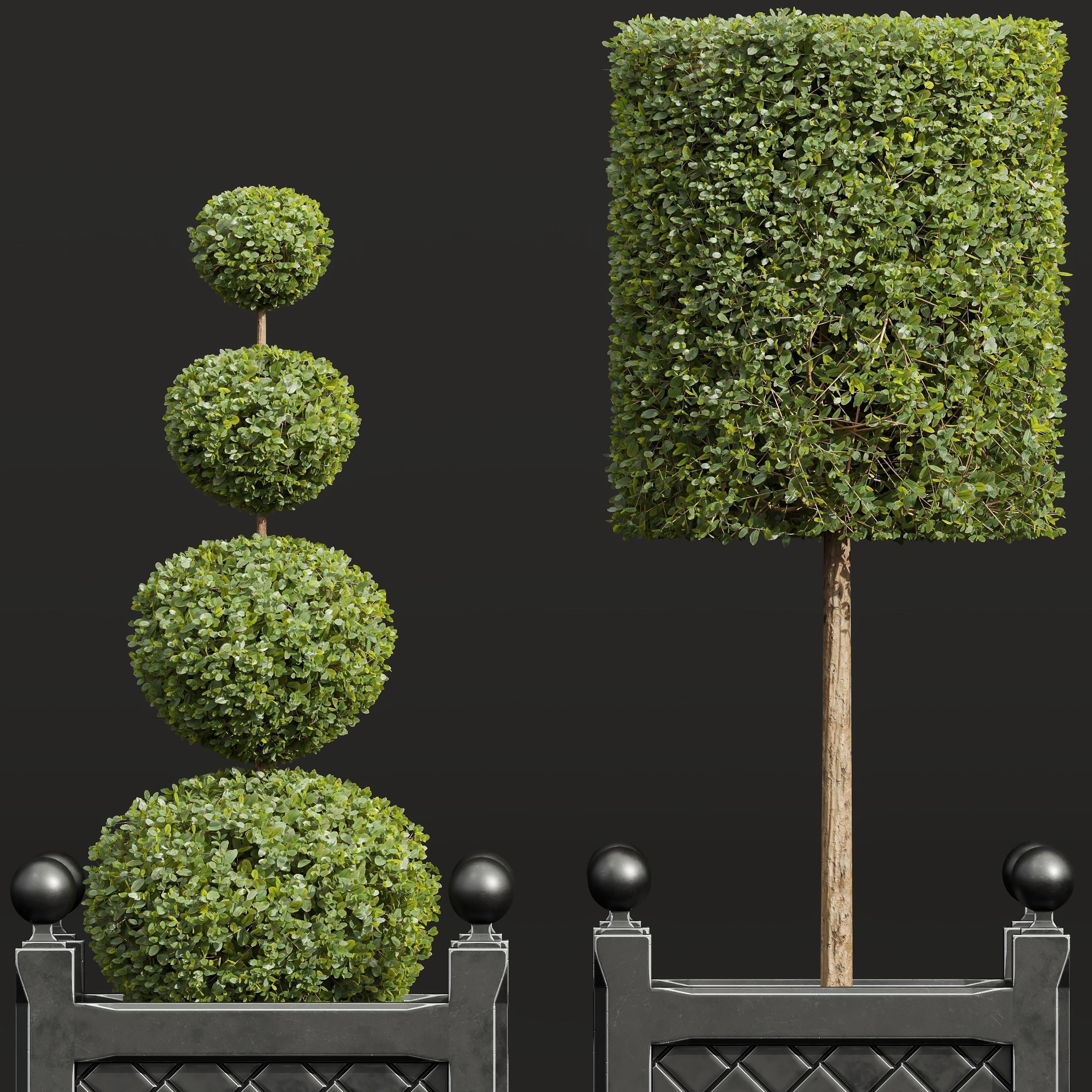 29 Different SETS Of Pot plants Flowers SET VOL06 3D Model Collection_84