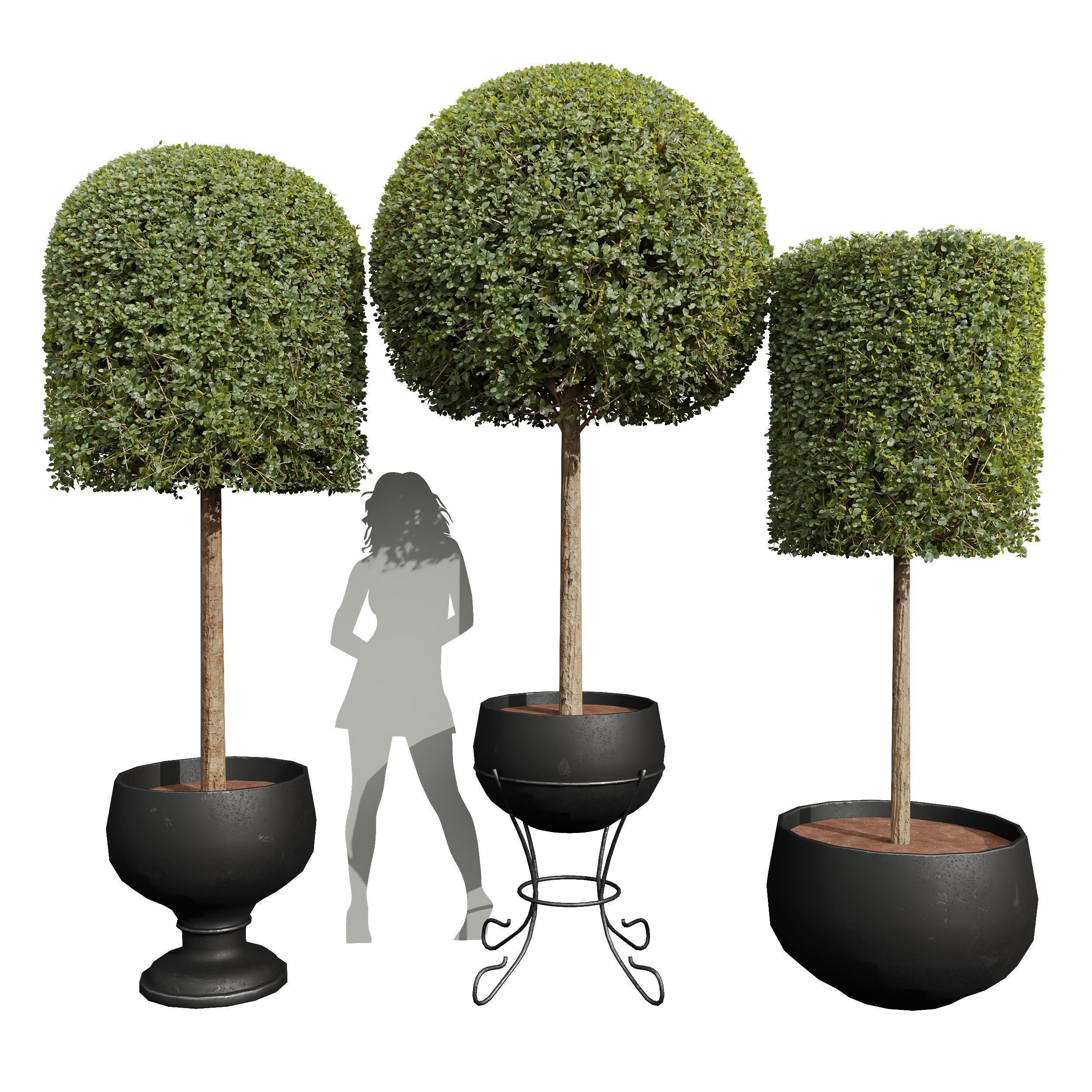 29 Different SETS Of Pot plants Flowers SET VOL06 3D Model Collection_38