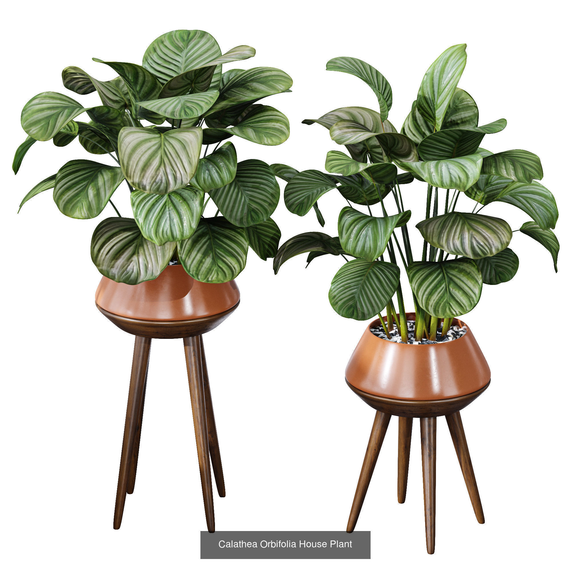29 Different SETS Of Pot plants Flowers SET VOL06 3D Model Collection_35