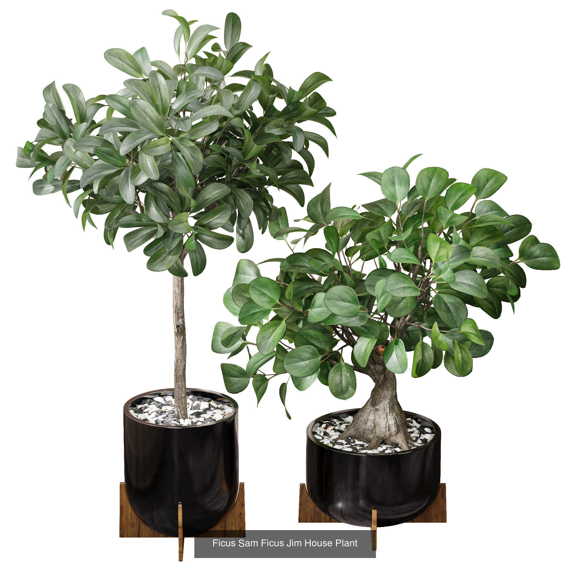 29 Different SETS Of Pot plants Flowers SET VOL06 3D Model Collection_31