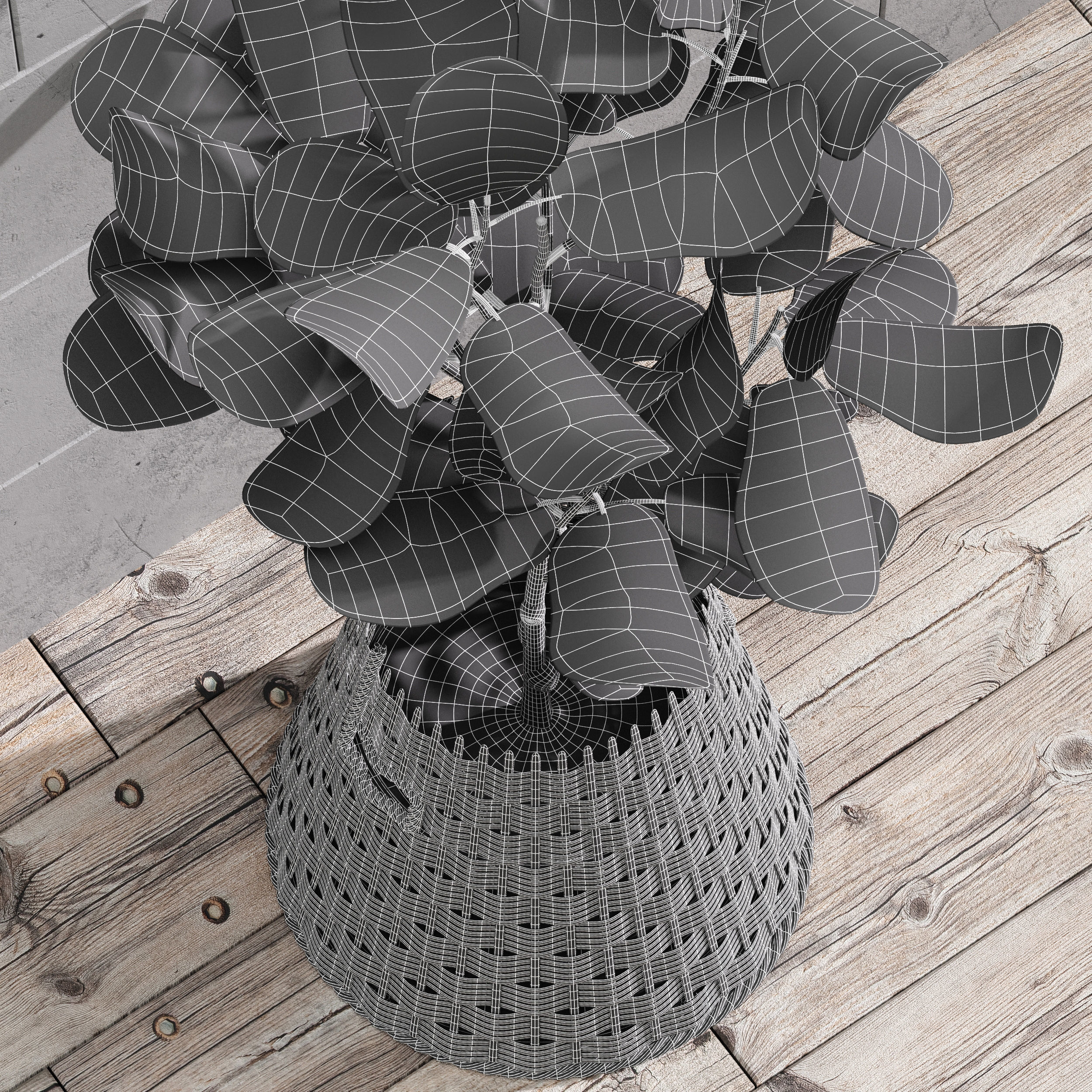 29 Different SETS Of Pot plants Flowers SET VOL06 3D Model Collection_92