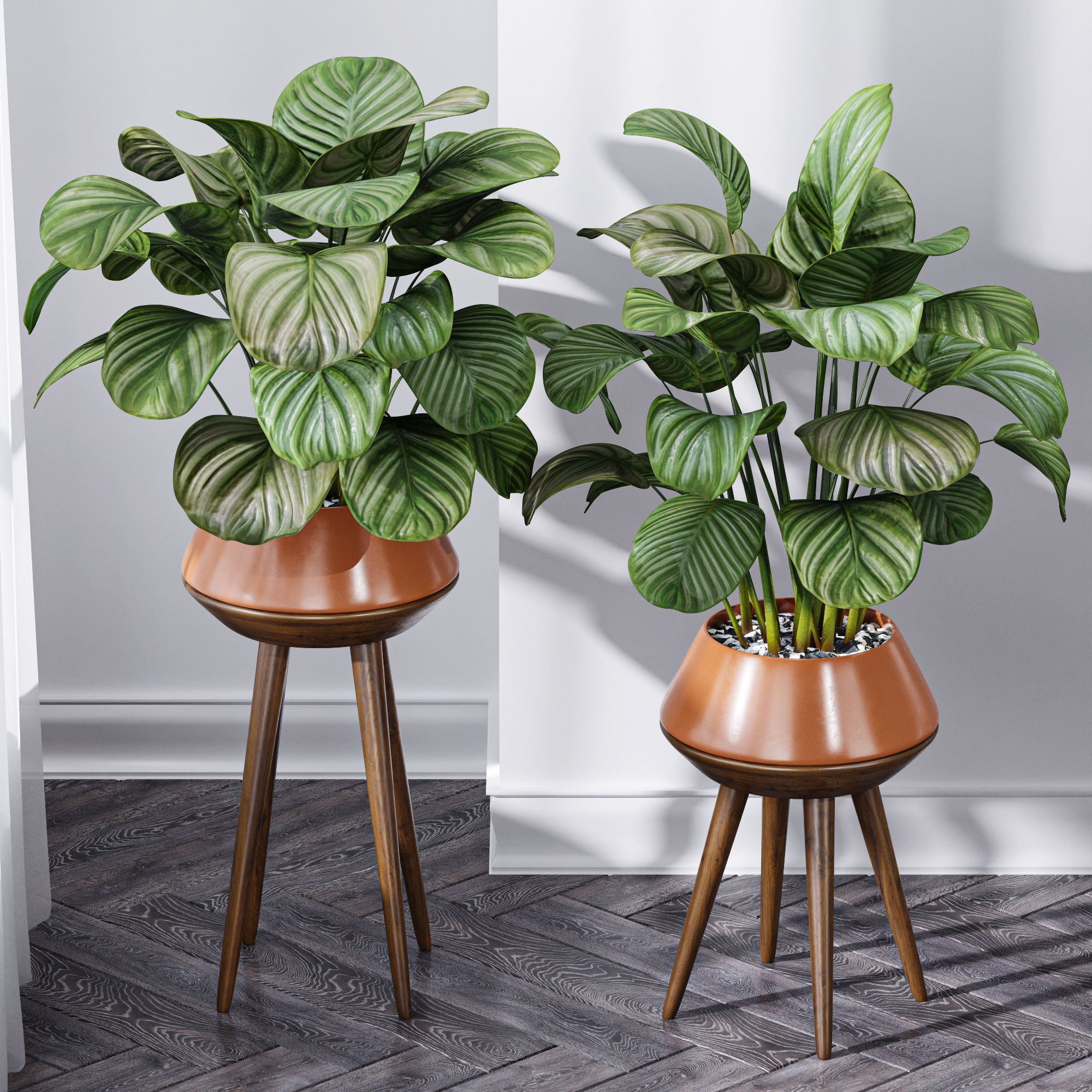 29 Different SETS Of Pot plants Flowers SET VOL06 3D Model Collection_20