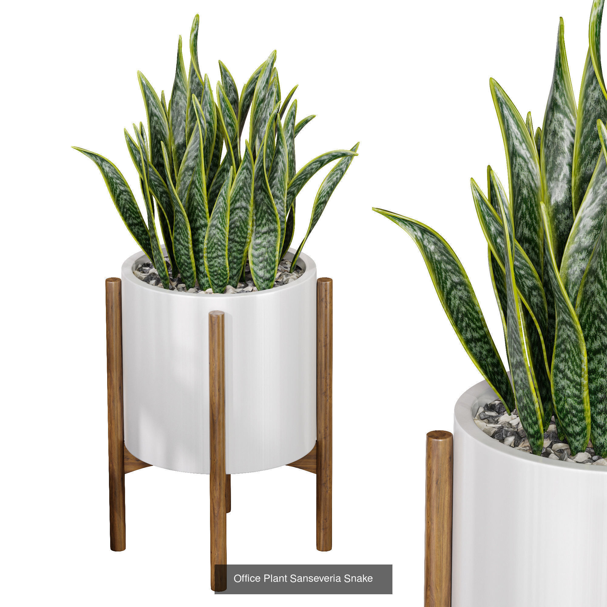 29 Different SETS Of Pot plants Flowers SET VOL06 3D Model Collection_25