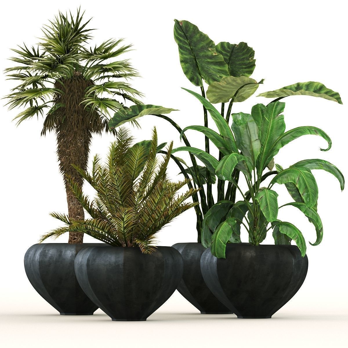 29 Different SETS Of Pot plants Flowers SET VOL06 3D Model Collection_5