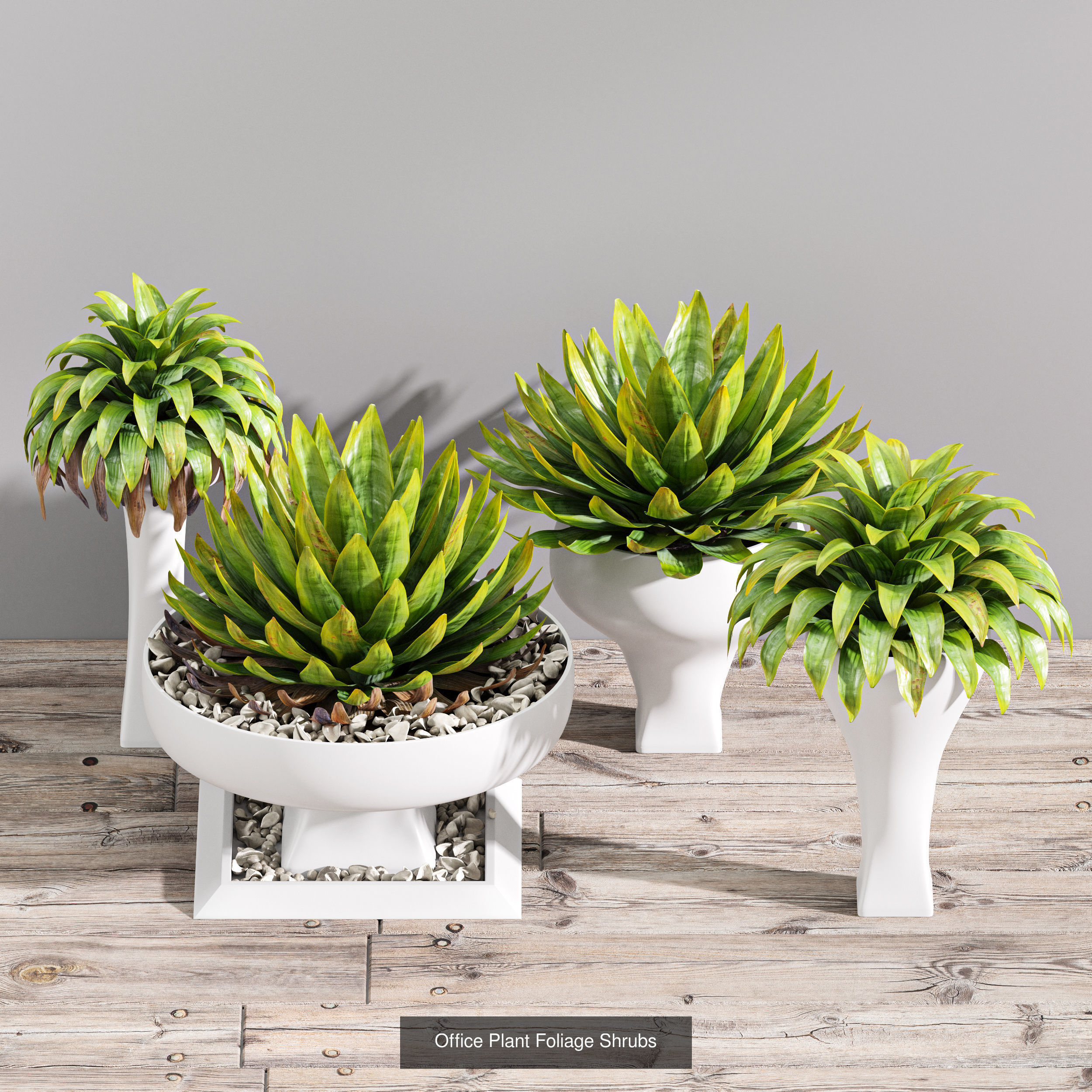 29 Different SETS Of Pot plants Flowers SET VOL06 3D Model Collection_14