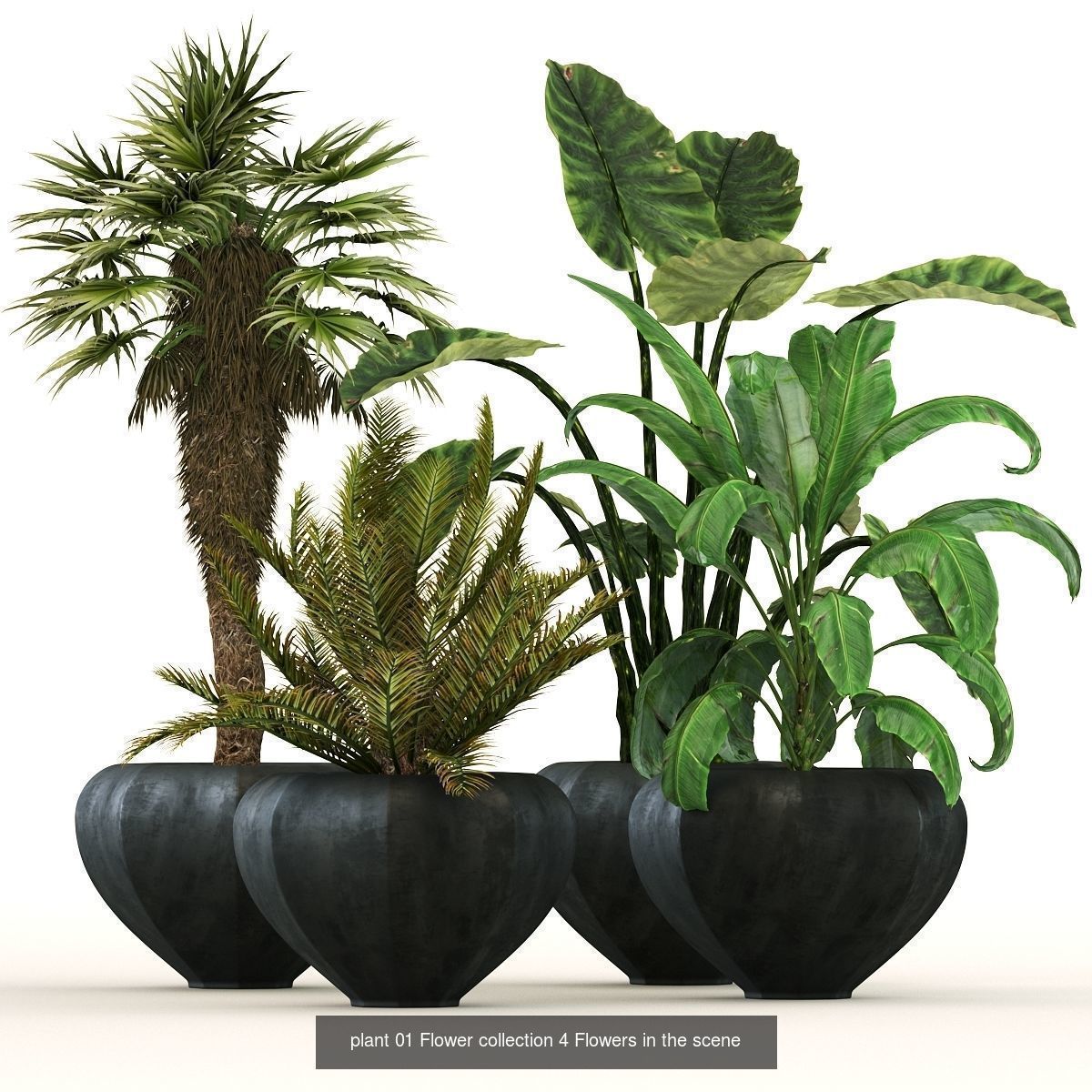 29 Different SETS Of Pot plants Flowers SET VOL06 3D Model Collection_8