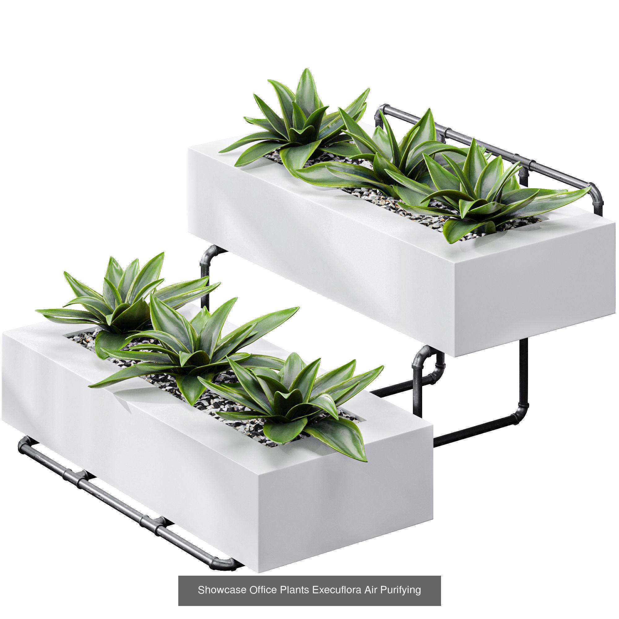 29 Different SETS Of Pot plants Flowers SET VOL06 3D Model Collection_37