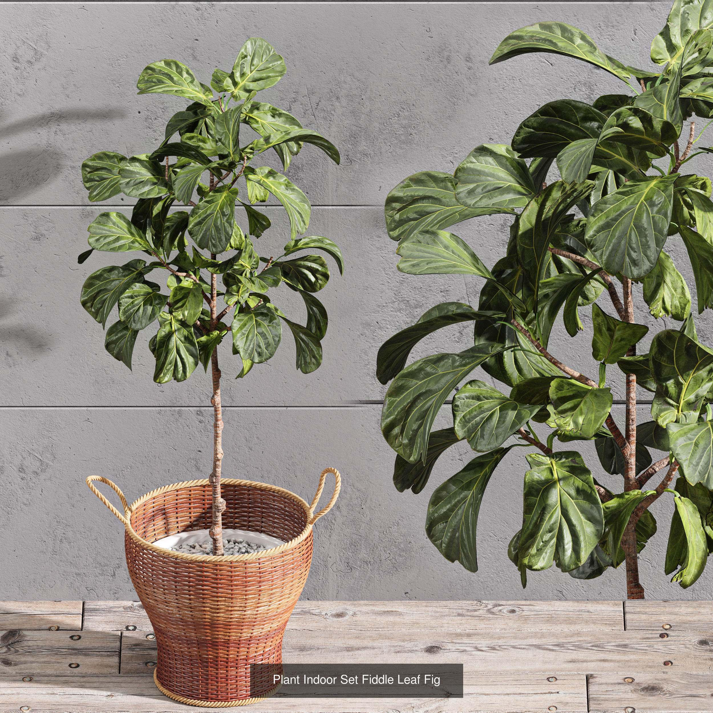 29 Different SETS Of Pot plants Flowers SET VOL06 3D Model Collection_27